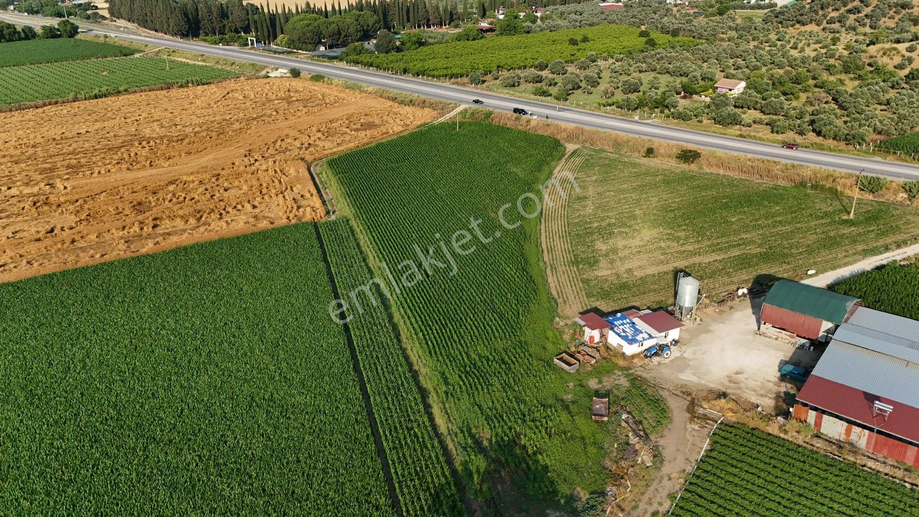 Pek Emlaktan Selçuk Asfaltı 50 Metre Cepheli 7500 M2 Ev Yapmaya Müsait Satılık Bahçe - Görsel 5