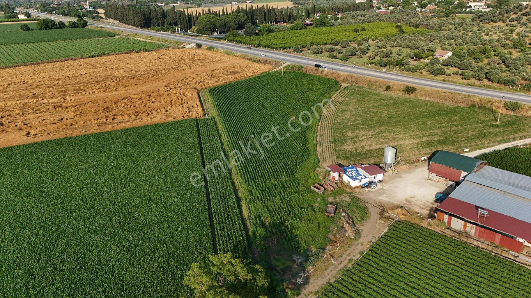 Pek Emlaktan Selçuk Asfaltı 50 Metre Cepheli 7500 M2 Ev Yapmaya Müsait Satılık Bahçe - Görsel 6