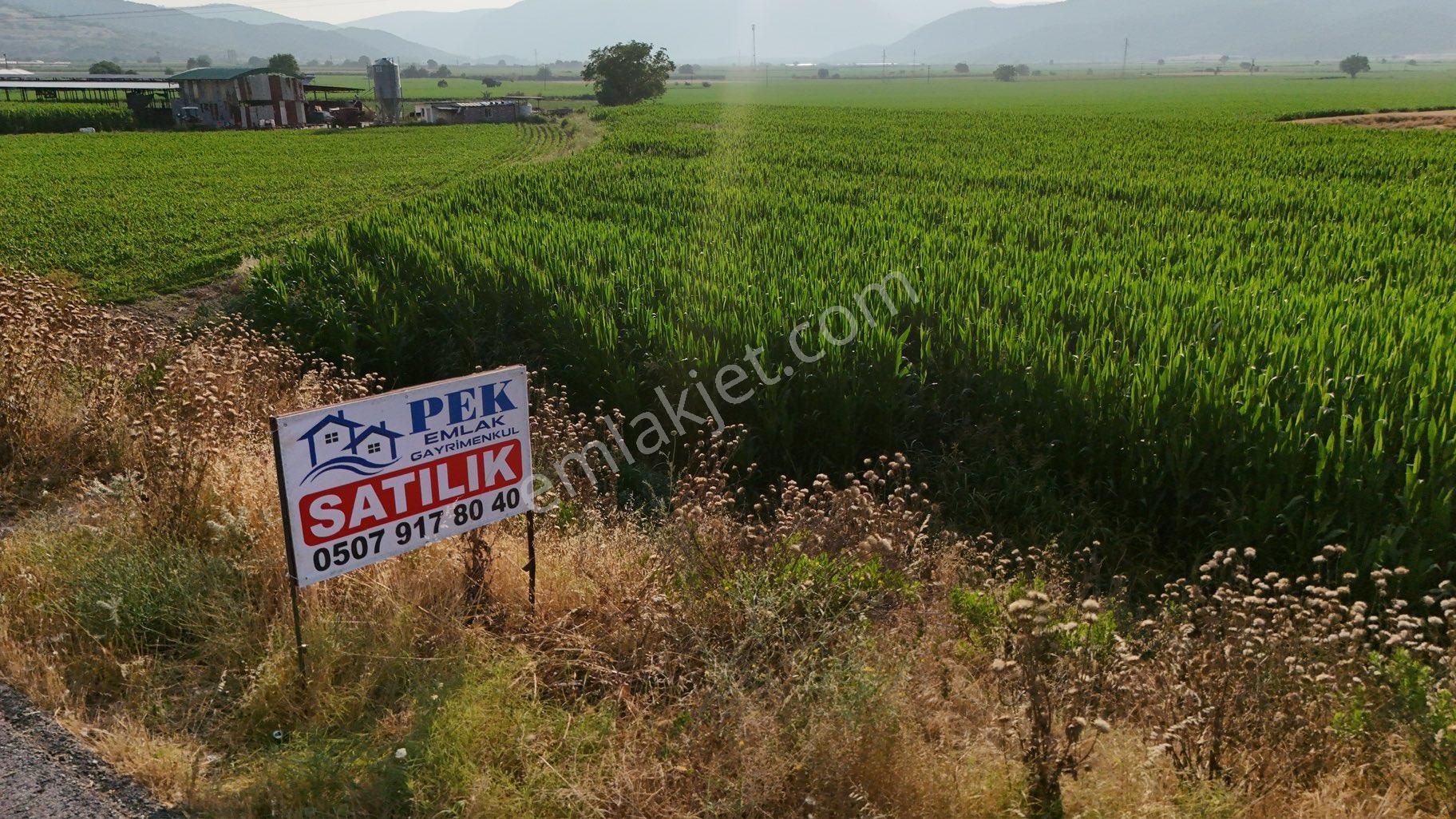 Pek Emlaktan Selçuk Asfaltı 50 Metre Cepheli 7500 M2 Ev Yapmaya Müsait Satılık Bahçe