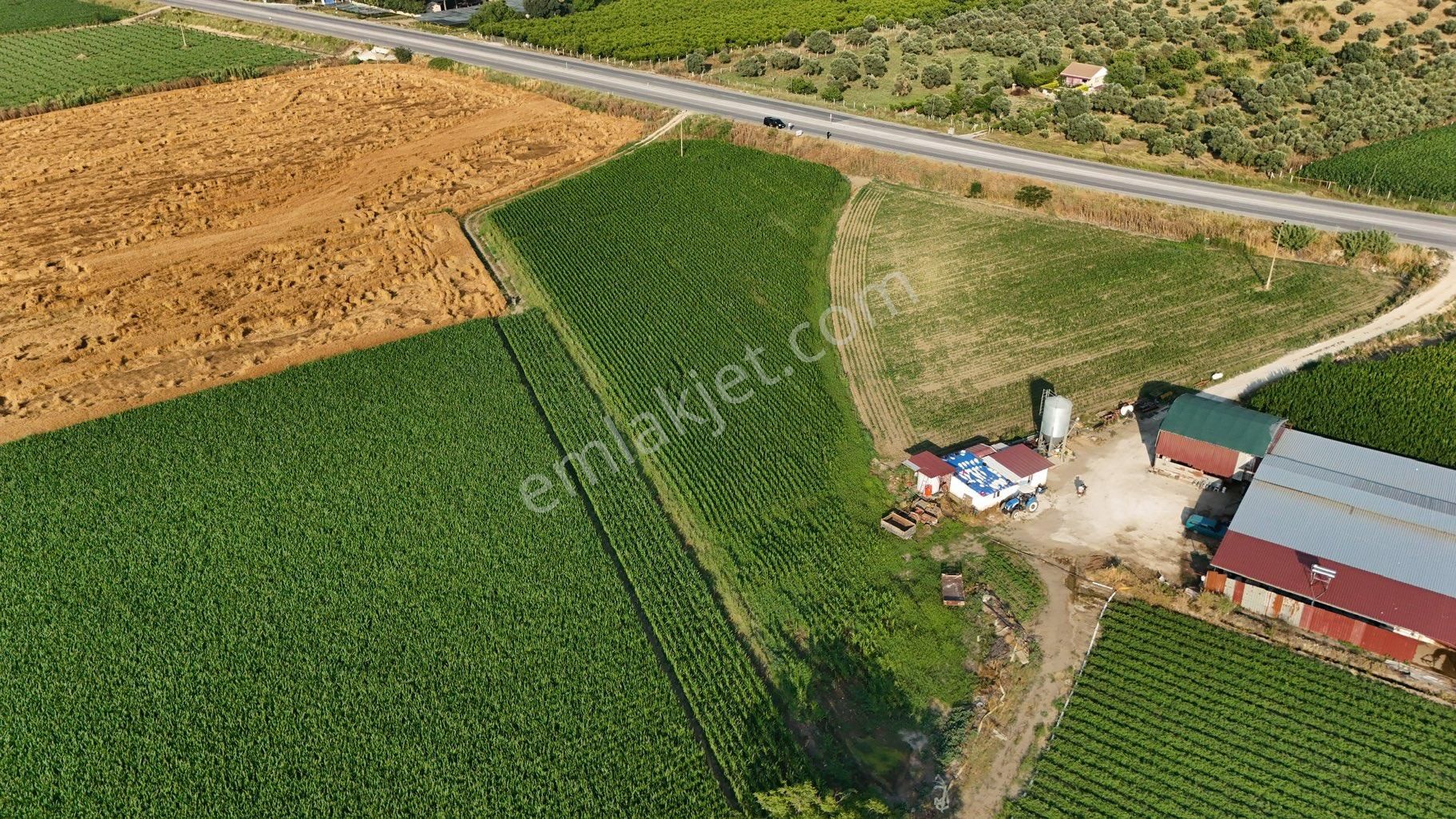 Pek Emlaktan Selçuk Asfaltı 50 Metre Cepheli 7500 M2 Ev Yapmaya Müsait Satılık Bahçe - Görsel 4