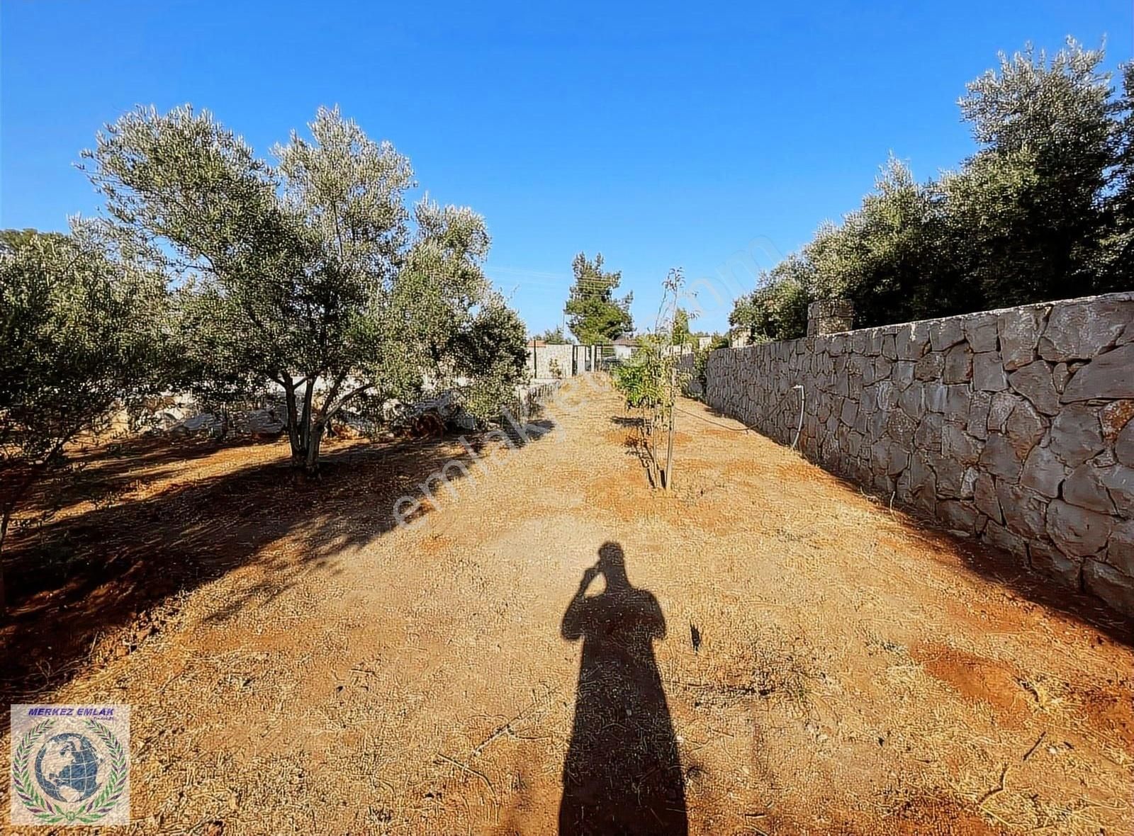 Antalyanın Yeni Gözdesi Duacıda 1000 M2 Satılık Arsa - Görsel 2