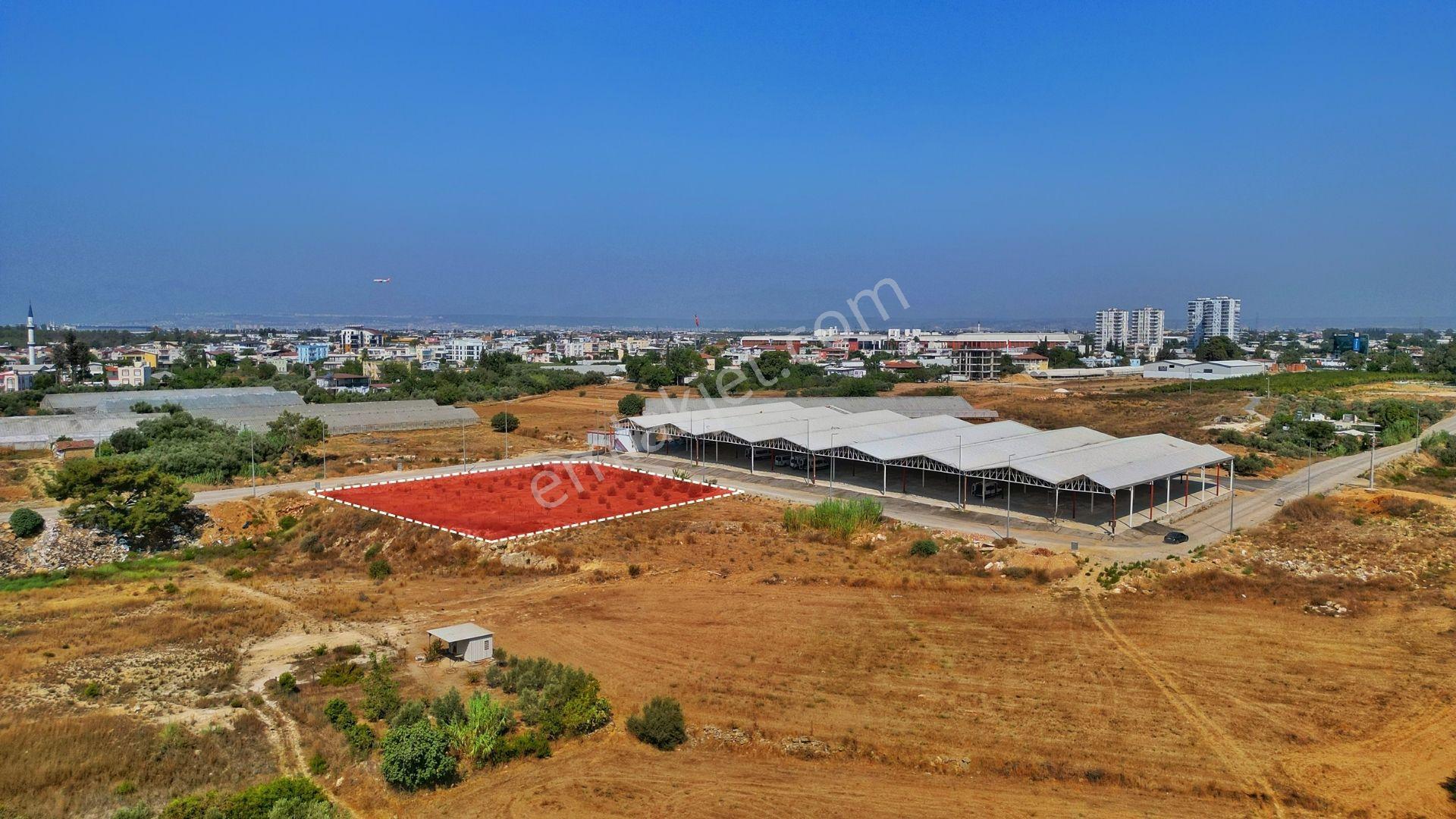 Aksu, Güzelyurt'ta Konut İmarlı 3.600 Satılık Köşe Parsel Arsa - Görsel 3