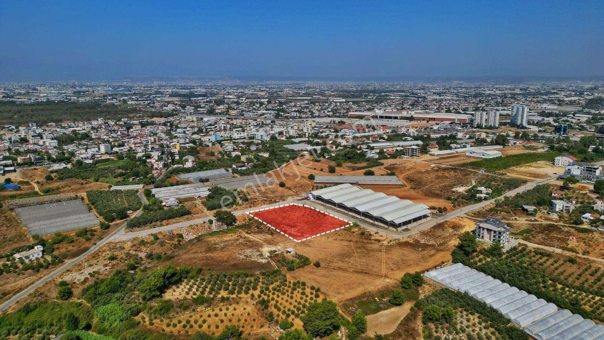 Aksu, Güzelyurt'ta Konut İmarlı 3.600 Satılık Köşe Parsel Arsa - Görsel 6