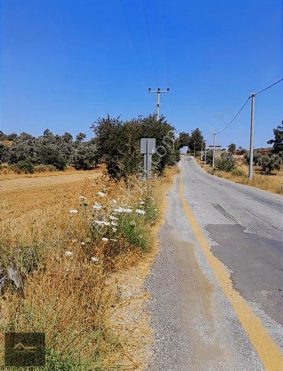 Muğla Milas Kısırlar Köyünde 6.184 M² Yatırımlık Tarla - Görsel 2