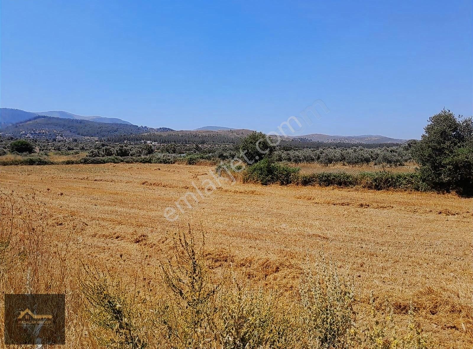 Muğla Milas Kısırlar Köyünde 6.184 M² Yatırımlık Tarla - Görsel 9