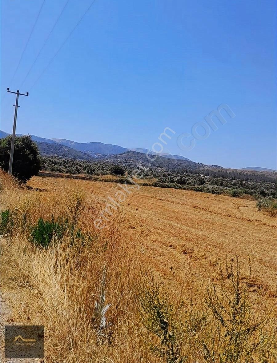 Muğla Milas Kısırlar Köyünde 6.184 M² Yatırımlık Tarla - Görsel 4