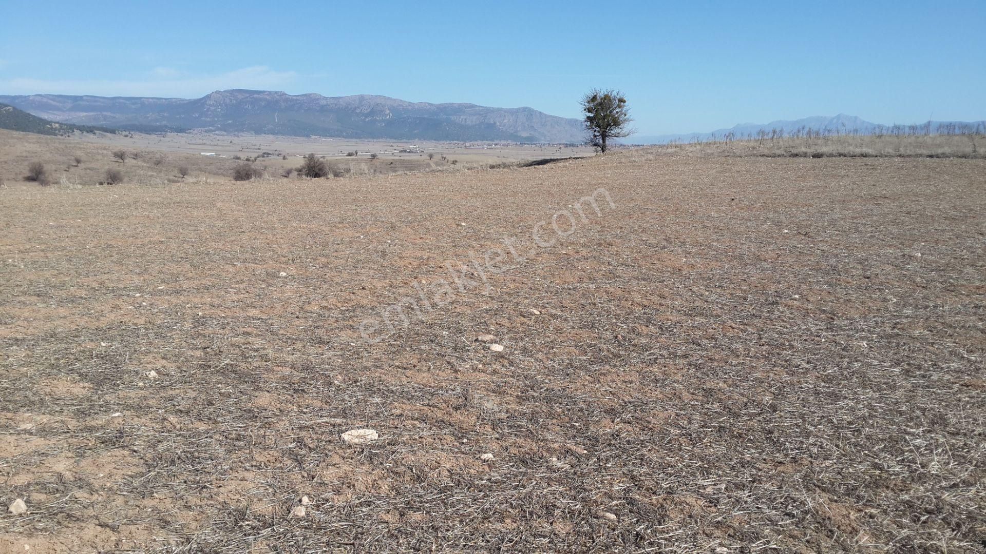 Denizli/çal/yukarıseyit Mah 6.500.m2 Verimli Tarla Araç Takası Olur - Görsel 6