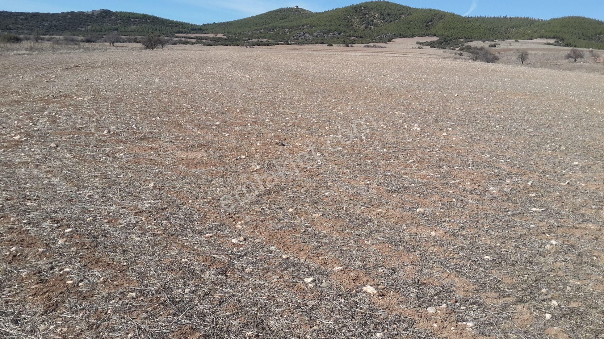 Denizli/çal/yukarıseyit Mah 6.500.m2 Verimli Tarla Araç Takası Olur - Görsel 4