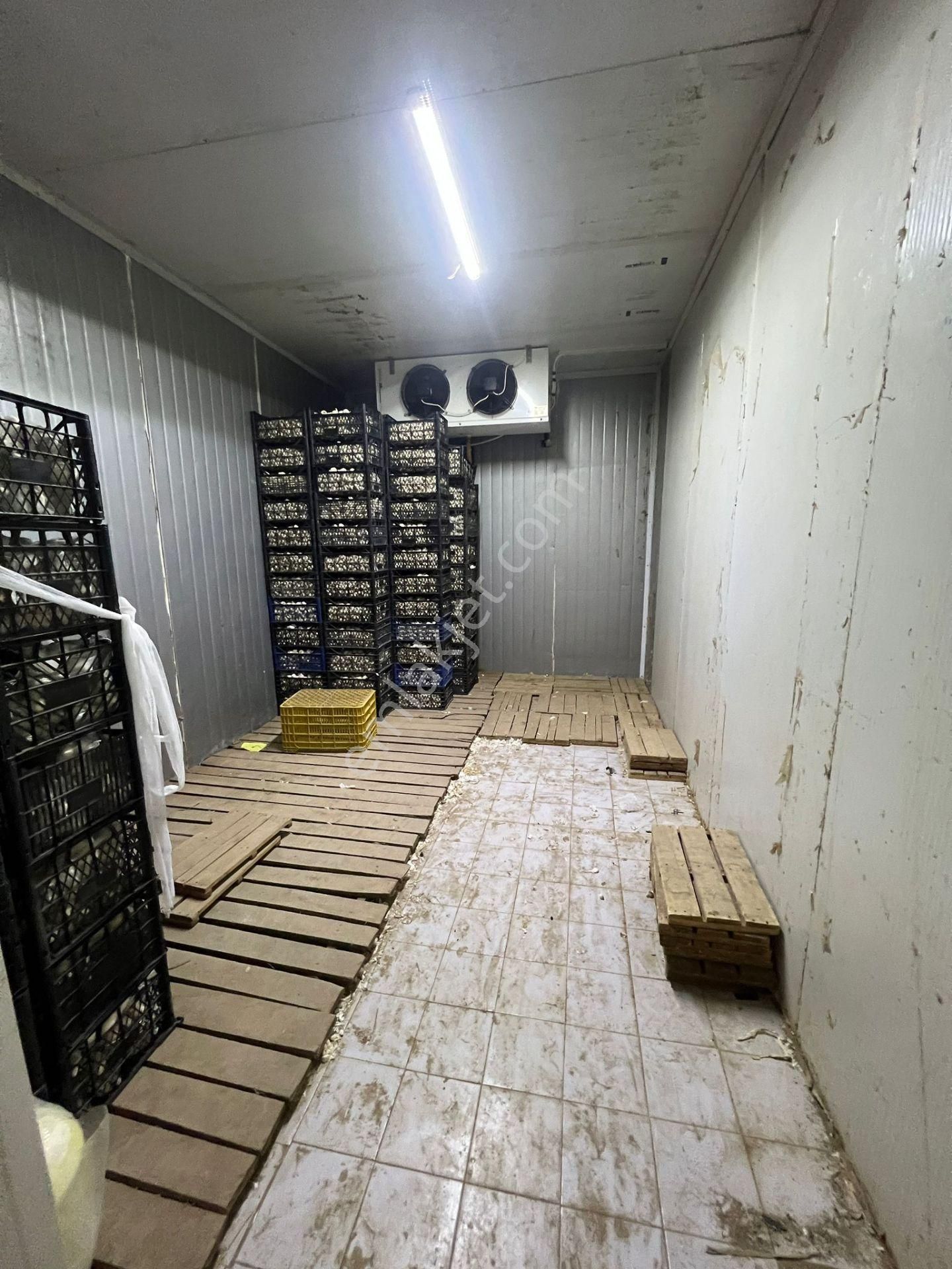 Ulucami Mahallesi Komple Bina İşyeri Daire - Görsel 7