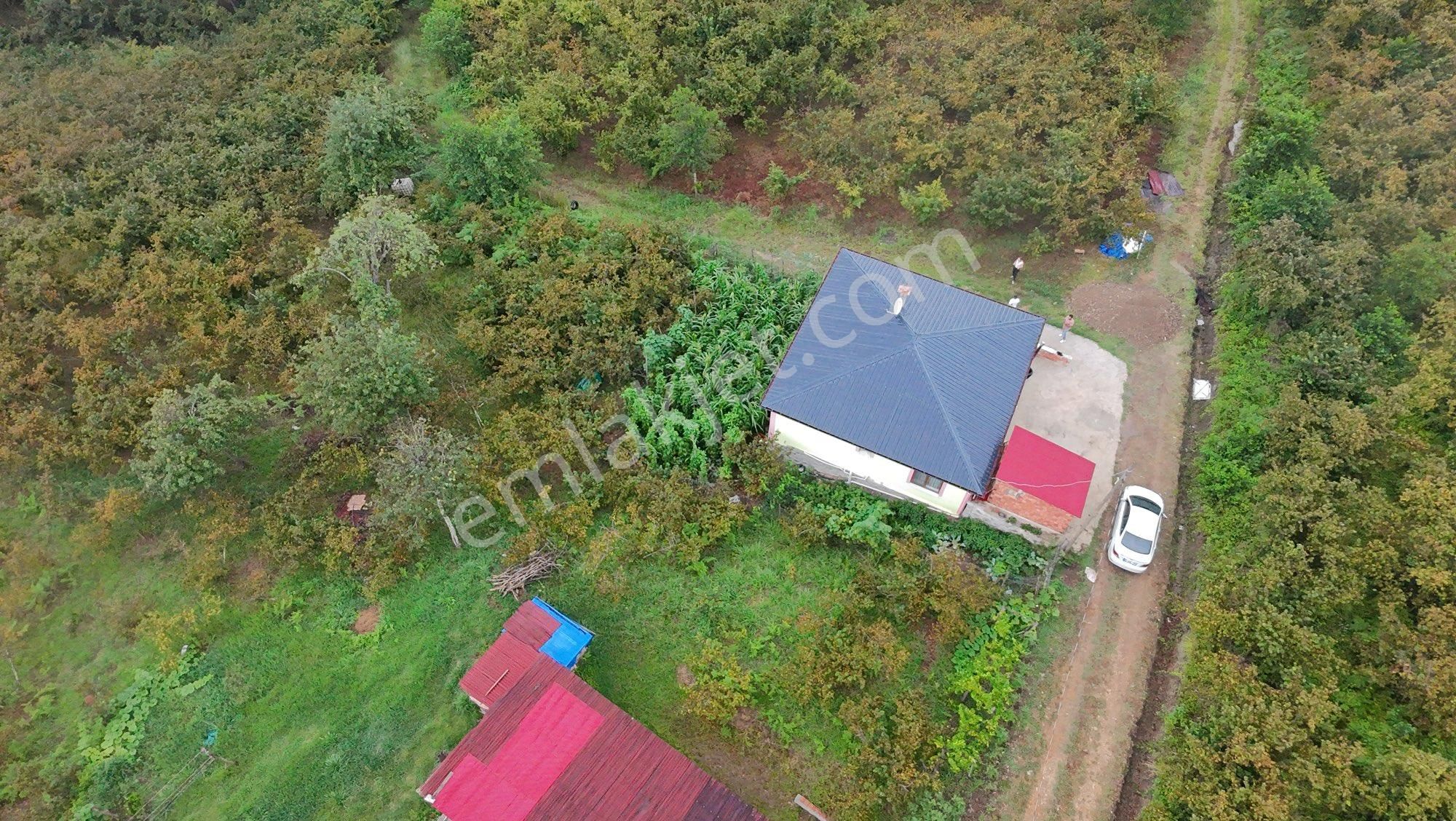 Arsin Yeşilyalı Da Satılık Köy Evi - Görsel 8