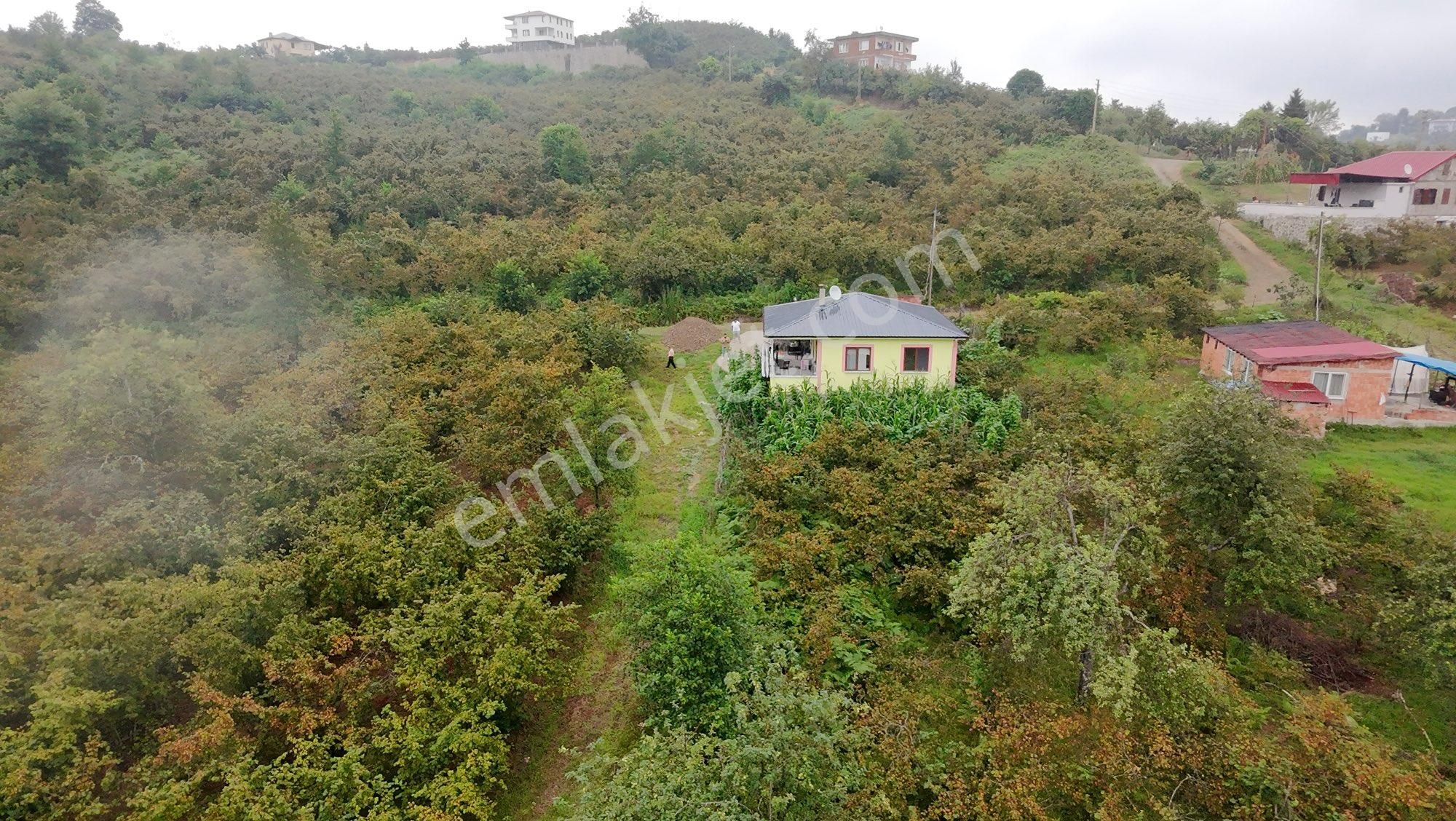 Arsin Yeşilyalı Da Satılık Köy Evi