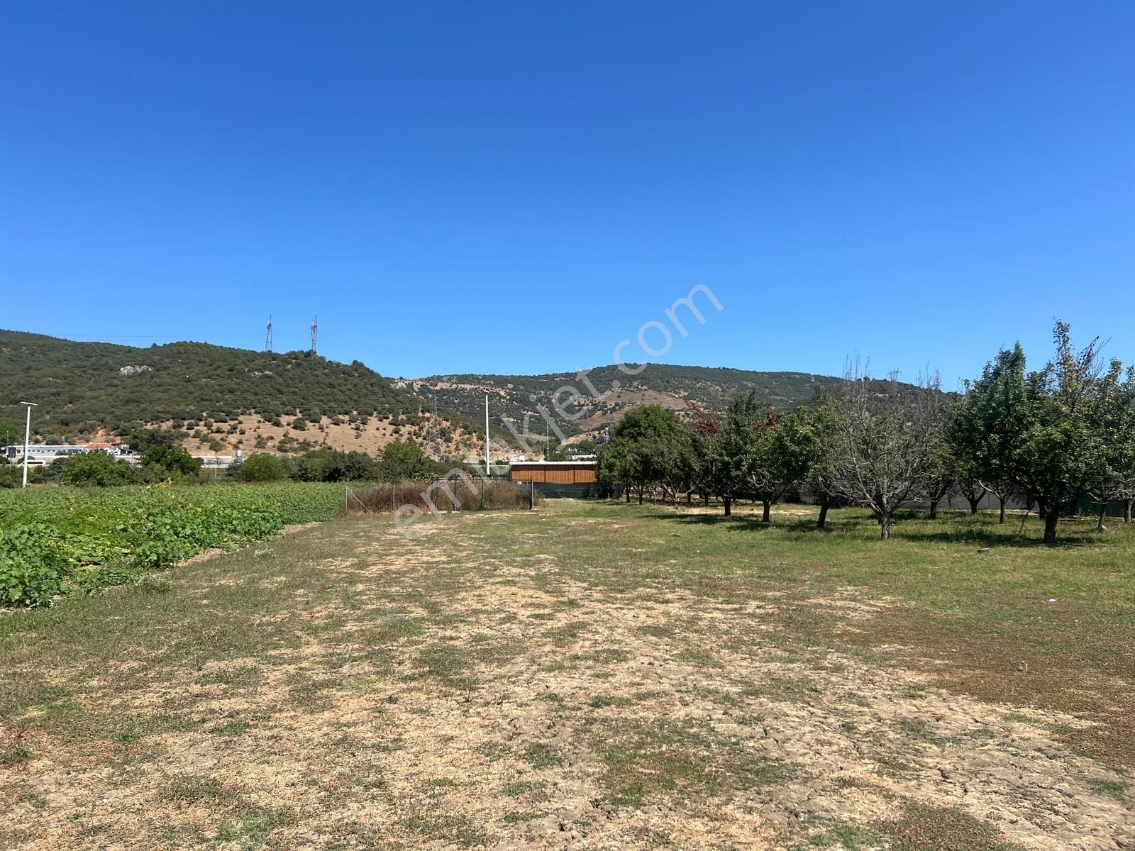 Marmaracık Köyünde Konteynırı İçinde 240 M2 Hobi Bahçesi - Görsel 3