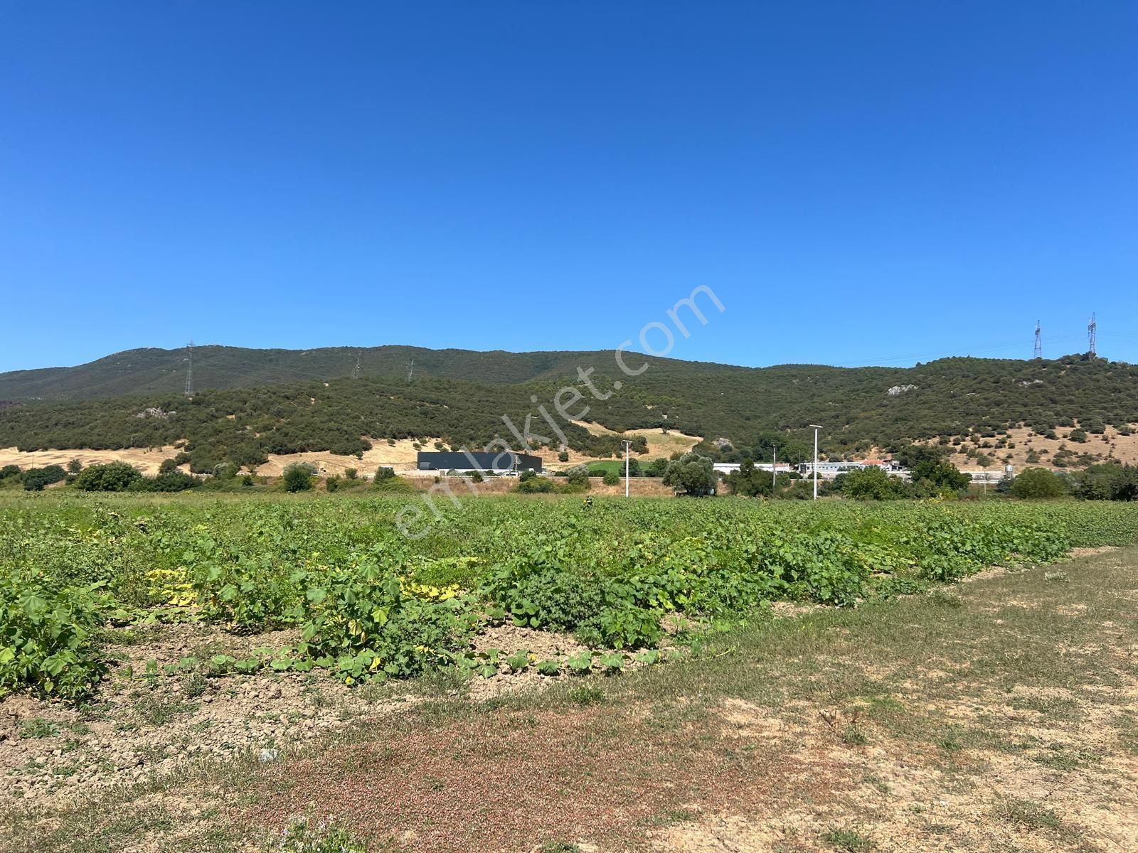 Marmaracık Köyünde Konteynırı İçinde 240 M2 Hobi Bahçesi - Görsel 4