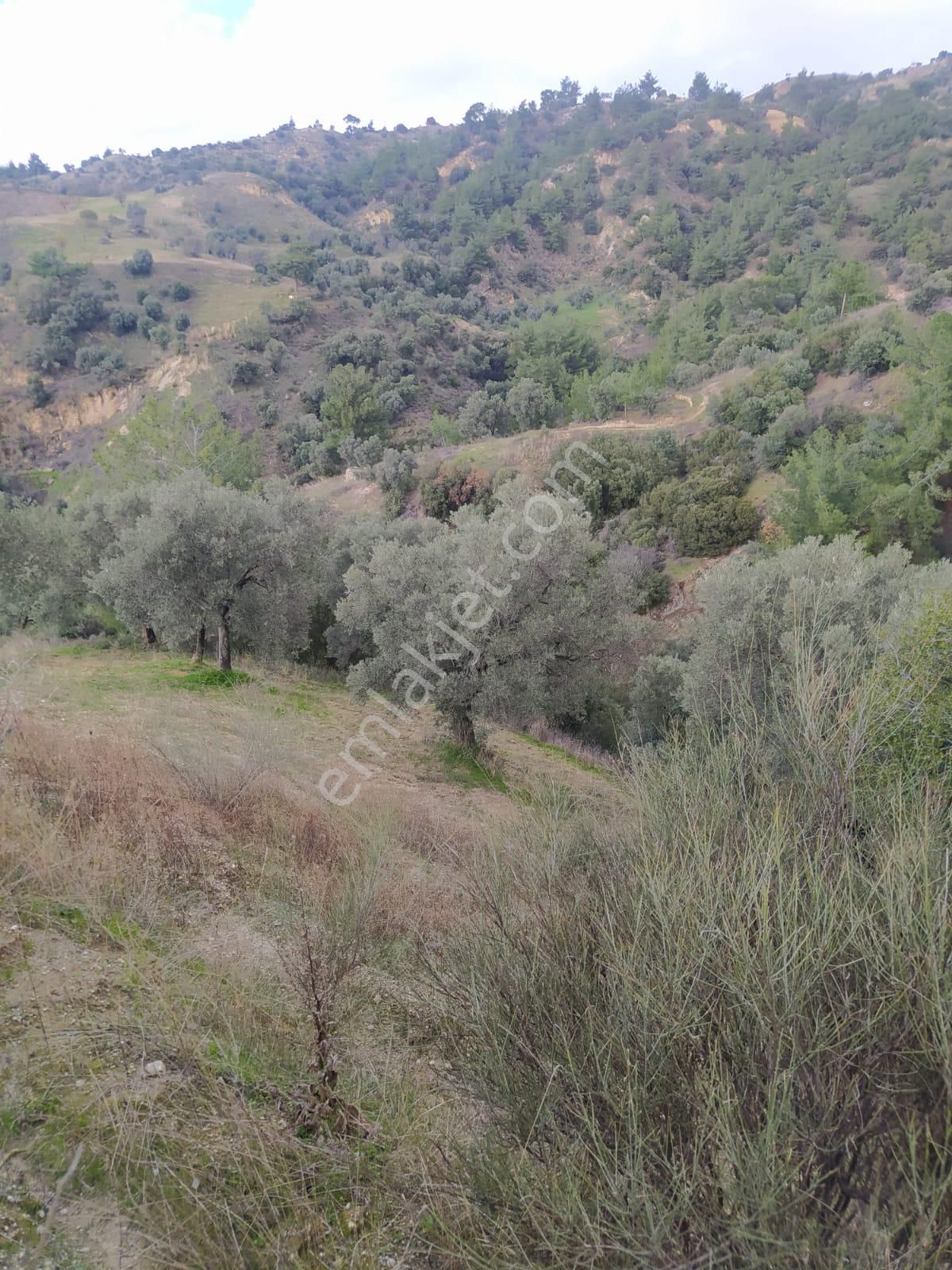 Çok Acil Satılık - Görsel 19