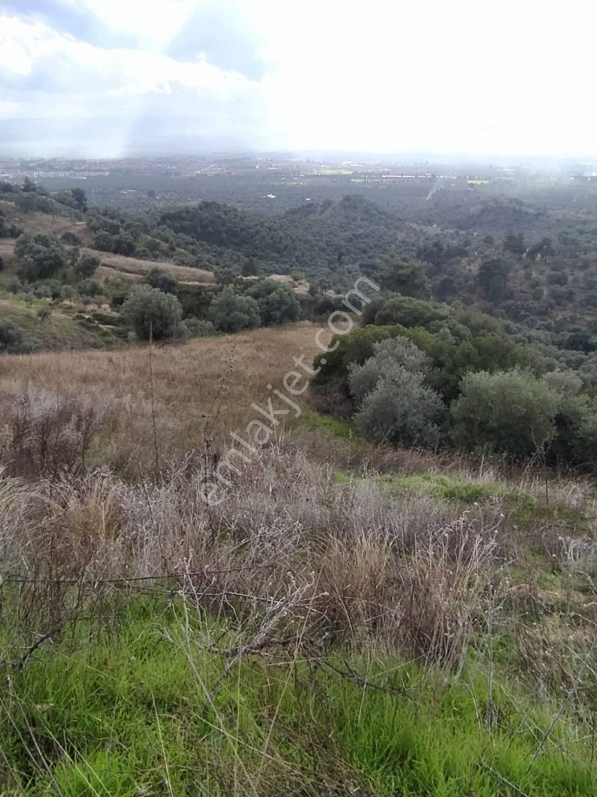 Çok Acil Satılık - Görsel 7