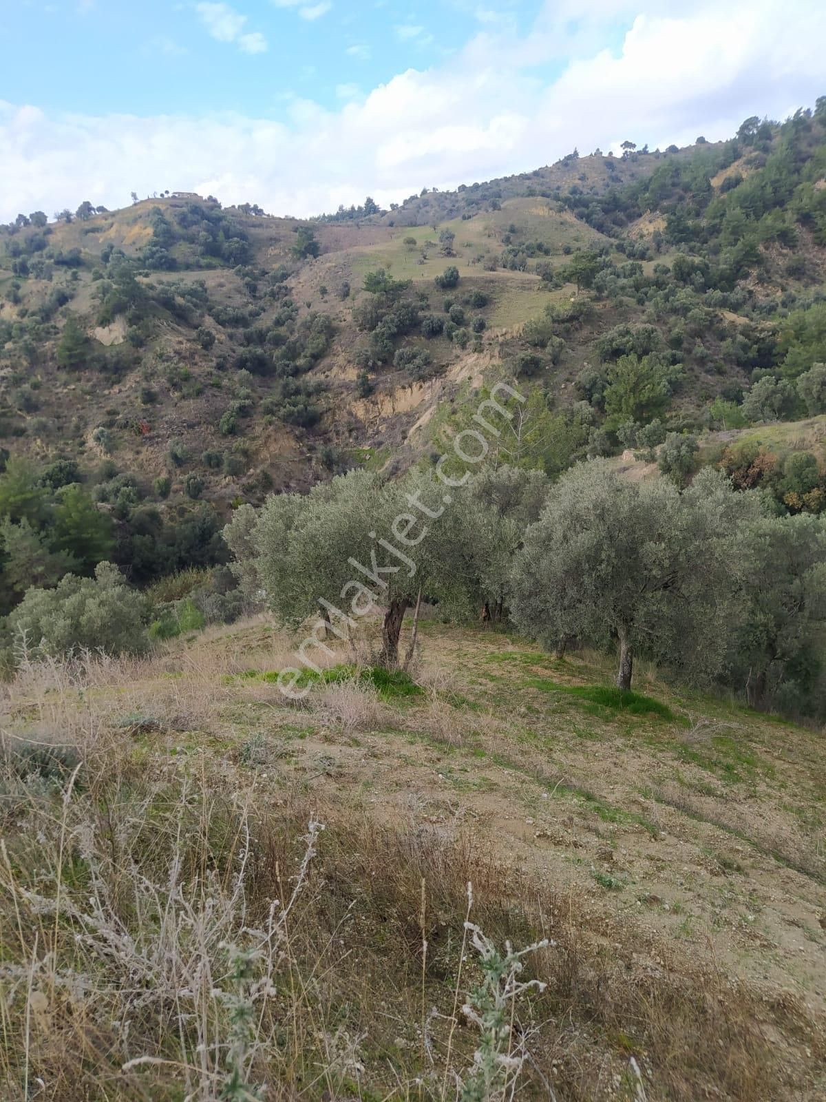 Çok Acil Satılık