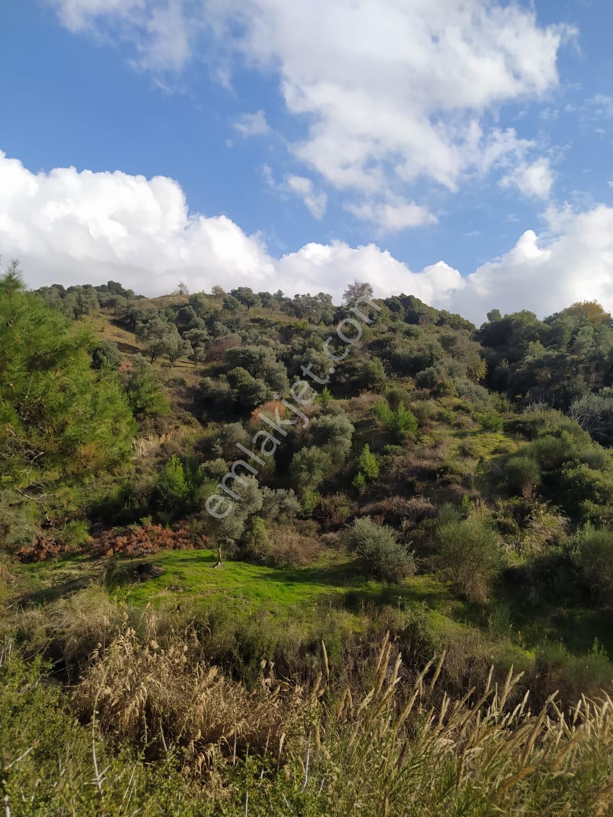 Çok Acil Satılık - Görsel 29