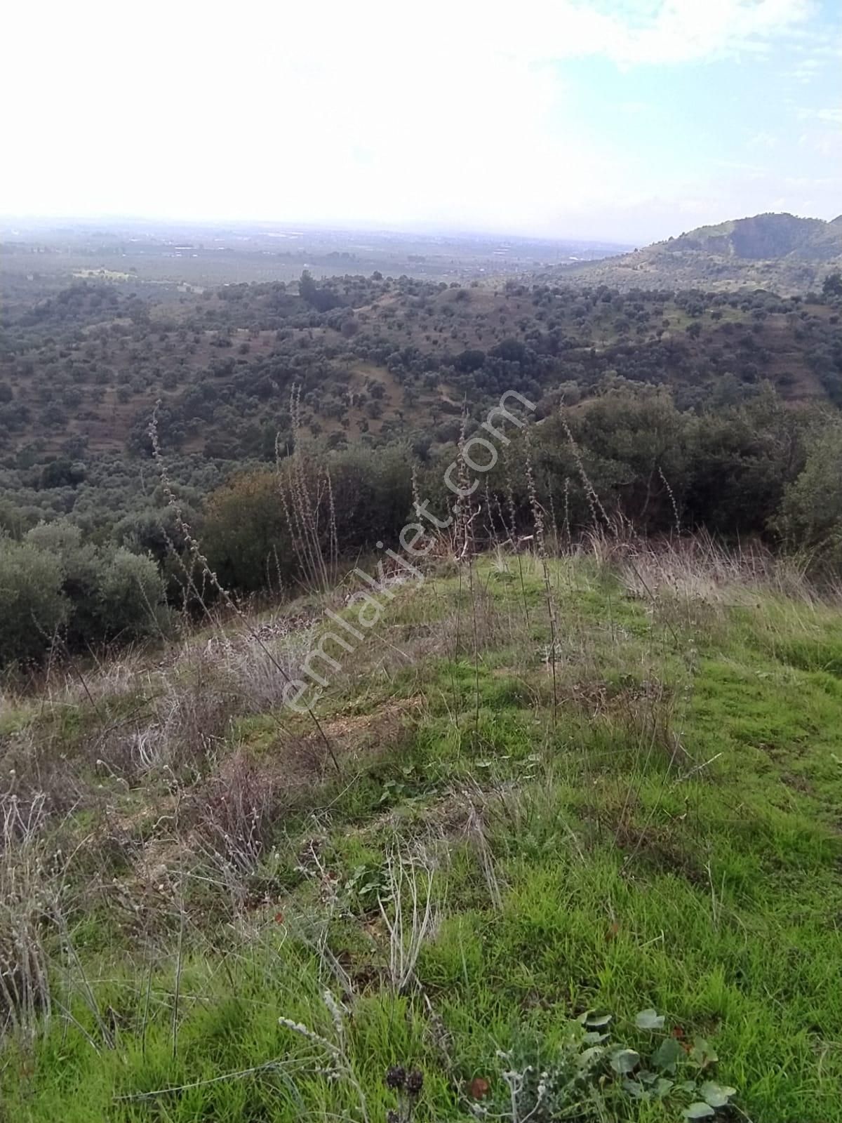 Çok Acil Satılık - Görsel 17