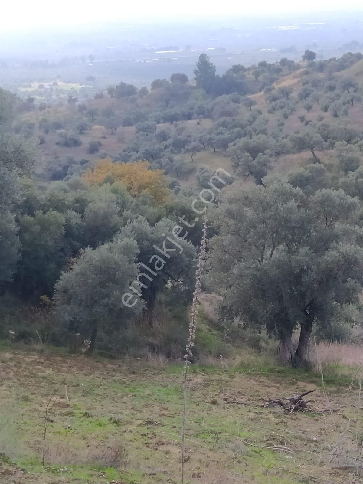 Çok Acil Satılık - Görsel 21