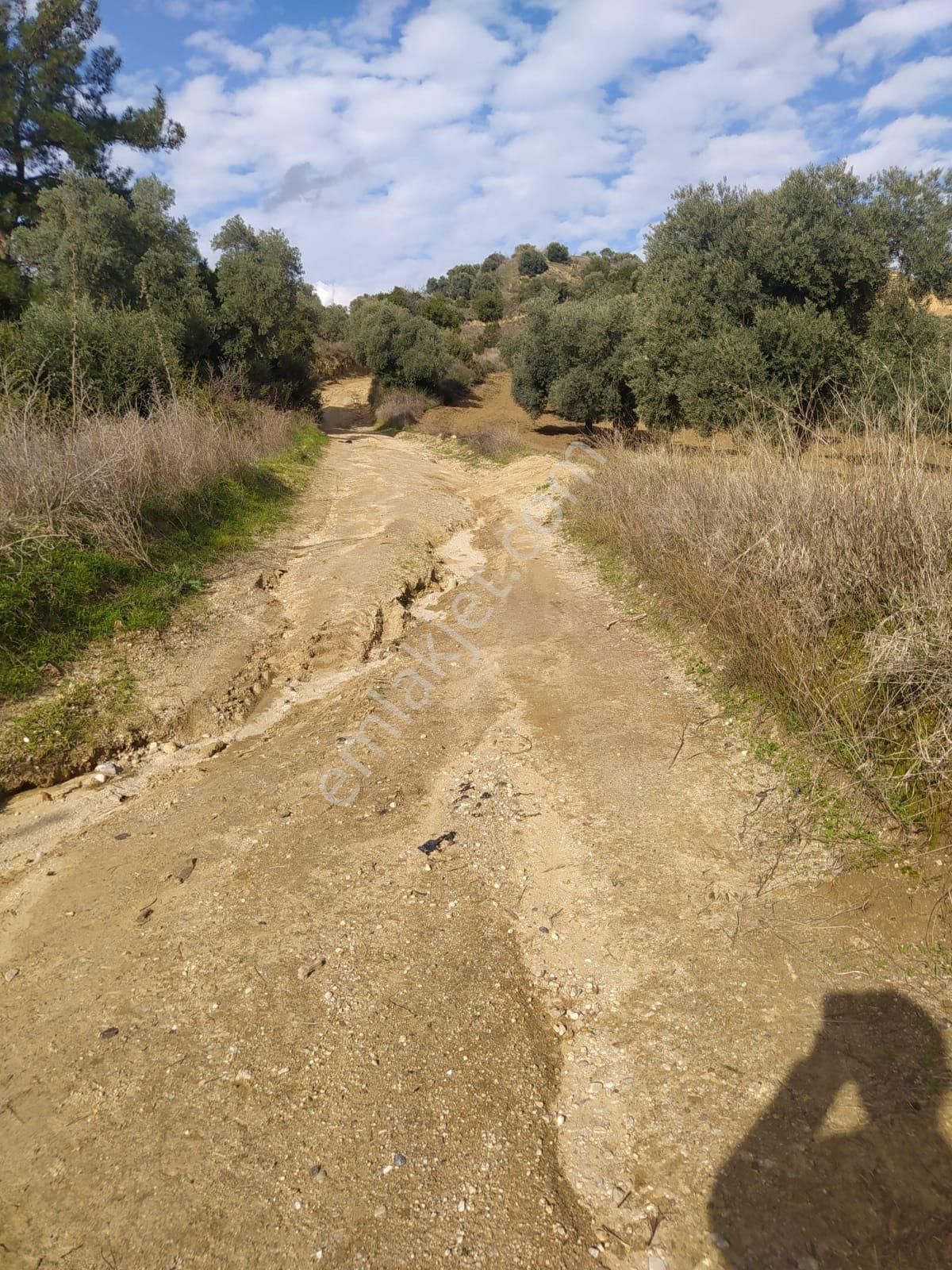 Çok Acil Satılık - Görsel 16