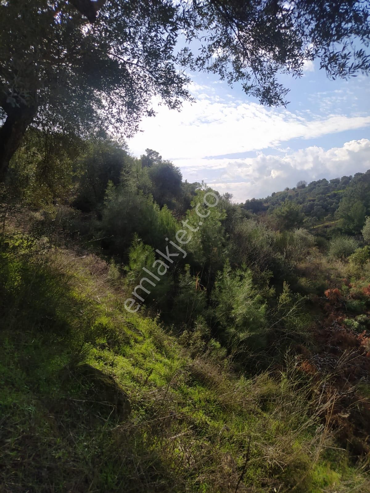 Çok Acil Satılık - Görsel 8