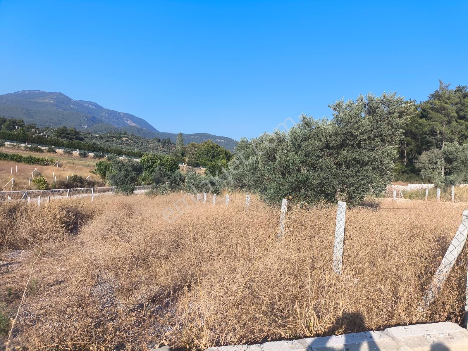 Asfalt Yol Üzerinde 283 M2 Tarla - Görsel 27