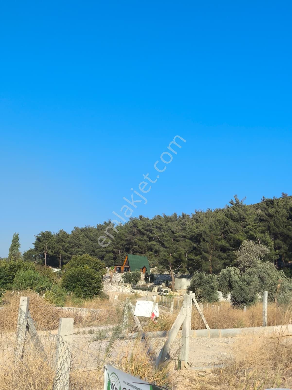 Asfalt Yol Üzerinde 283 M2 Tarla - Görsel 2