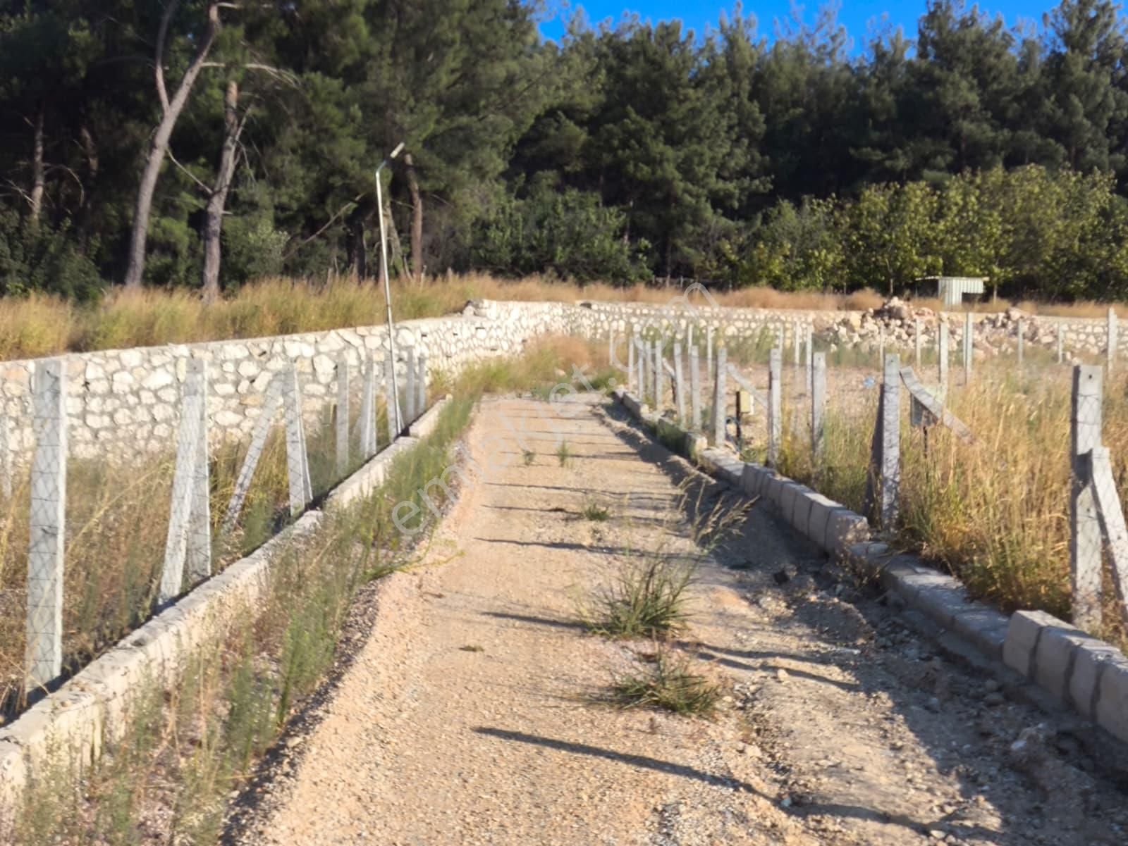 Asfalt Yol Üzerinde 283 M2 Tarla - Görsel 8