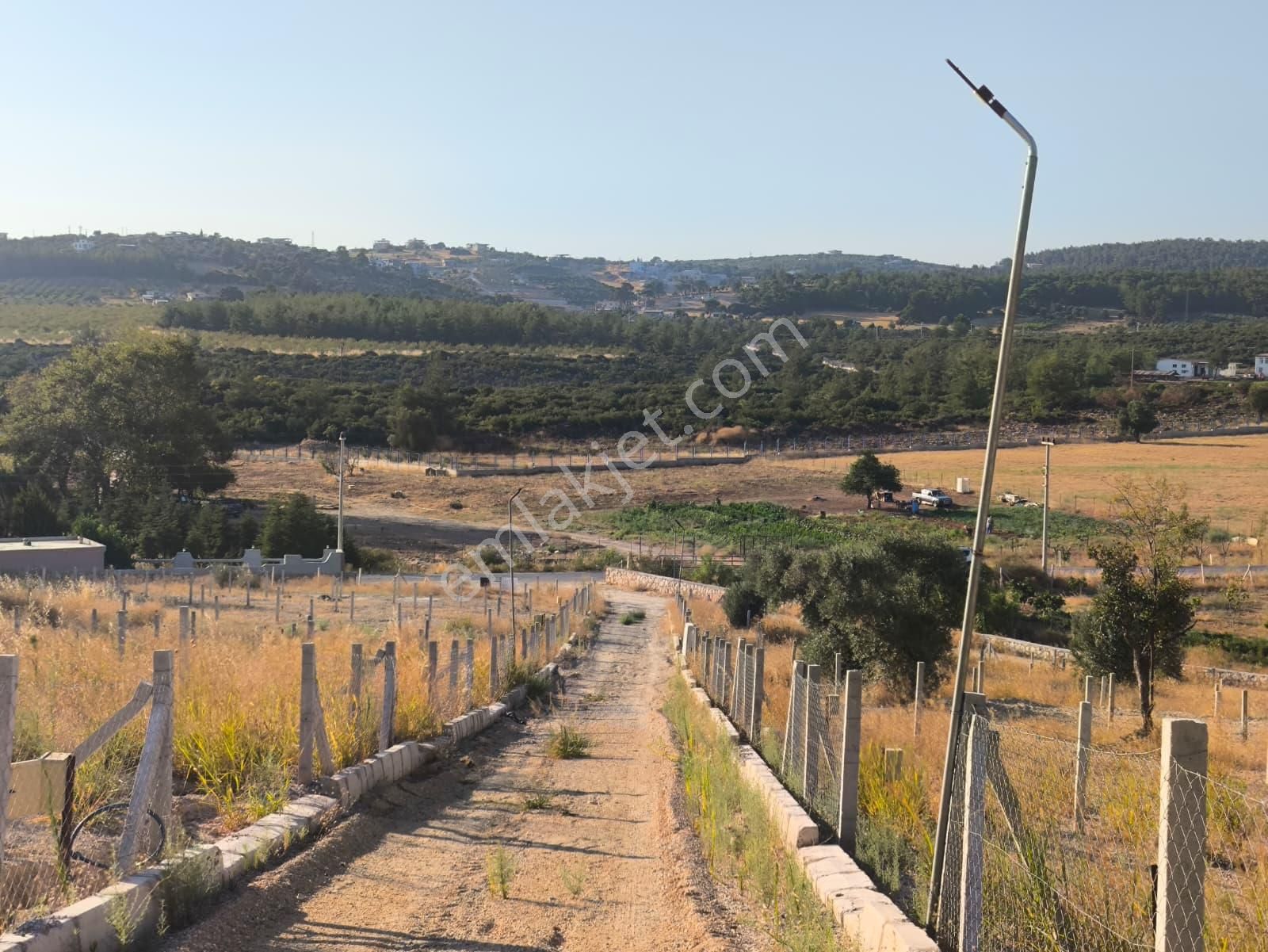 Asfalt Yol Üzerinde 283 M2 Tarla - Görsel 6