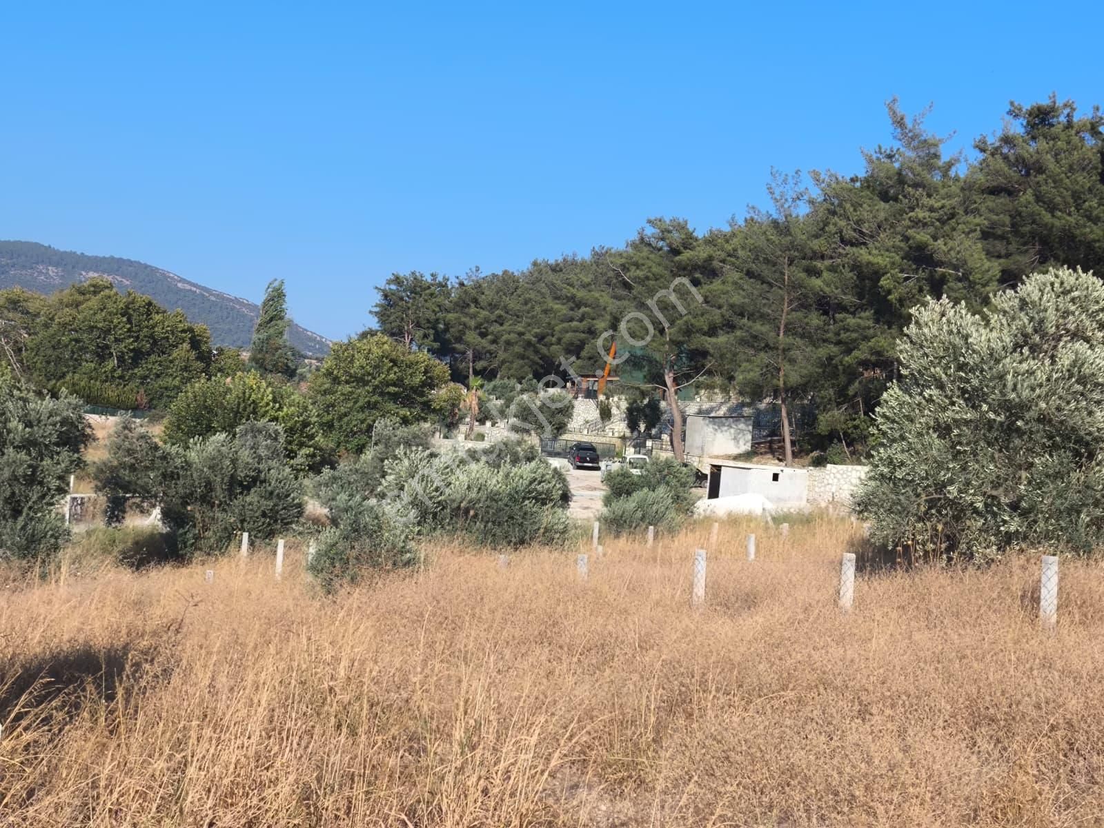 Asfalt Yol Üzerinde 283 M2 Tarla - Görsel 22