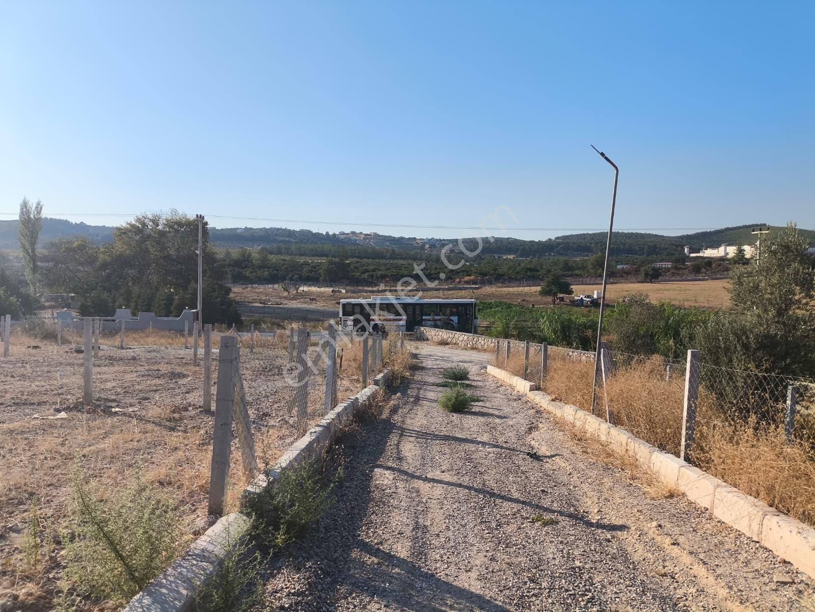 Asfalt Yol Üzerinde 283 M2 Tarla - Görsel 21