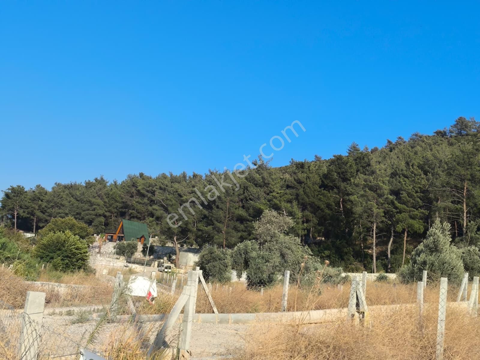 Asfalt Yol Üzerinde 283 M2 Tarla - Görsel 3