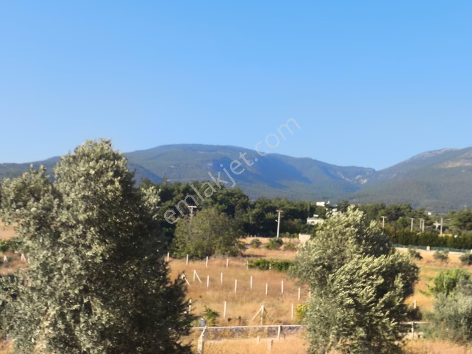 Asfalt Yol Üzerinde 283 M2 Tarla - Görsel 11