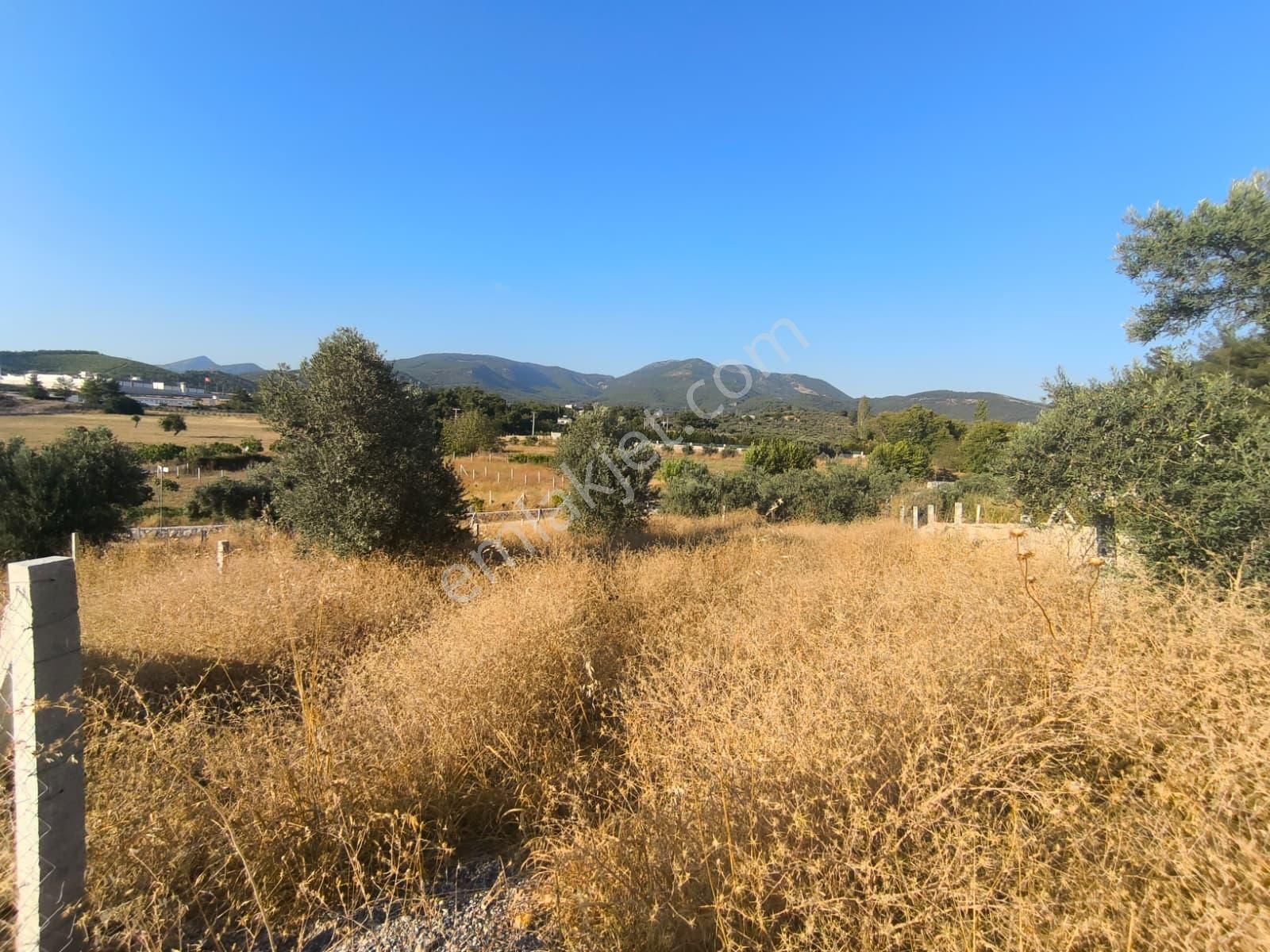 Asfalt Yol Üzerinde 283 M2 Tarla - Görsel 18