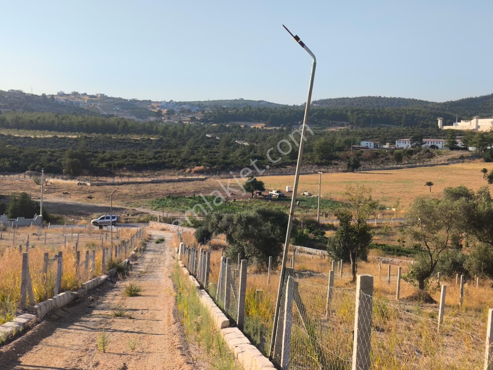 Asfalt Yol Üzerinde 283 M2 Tarla - Görsel 5