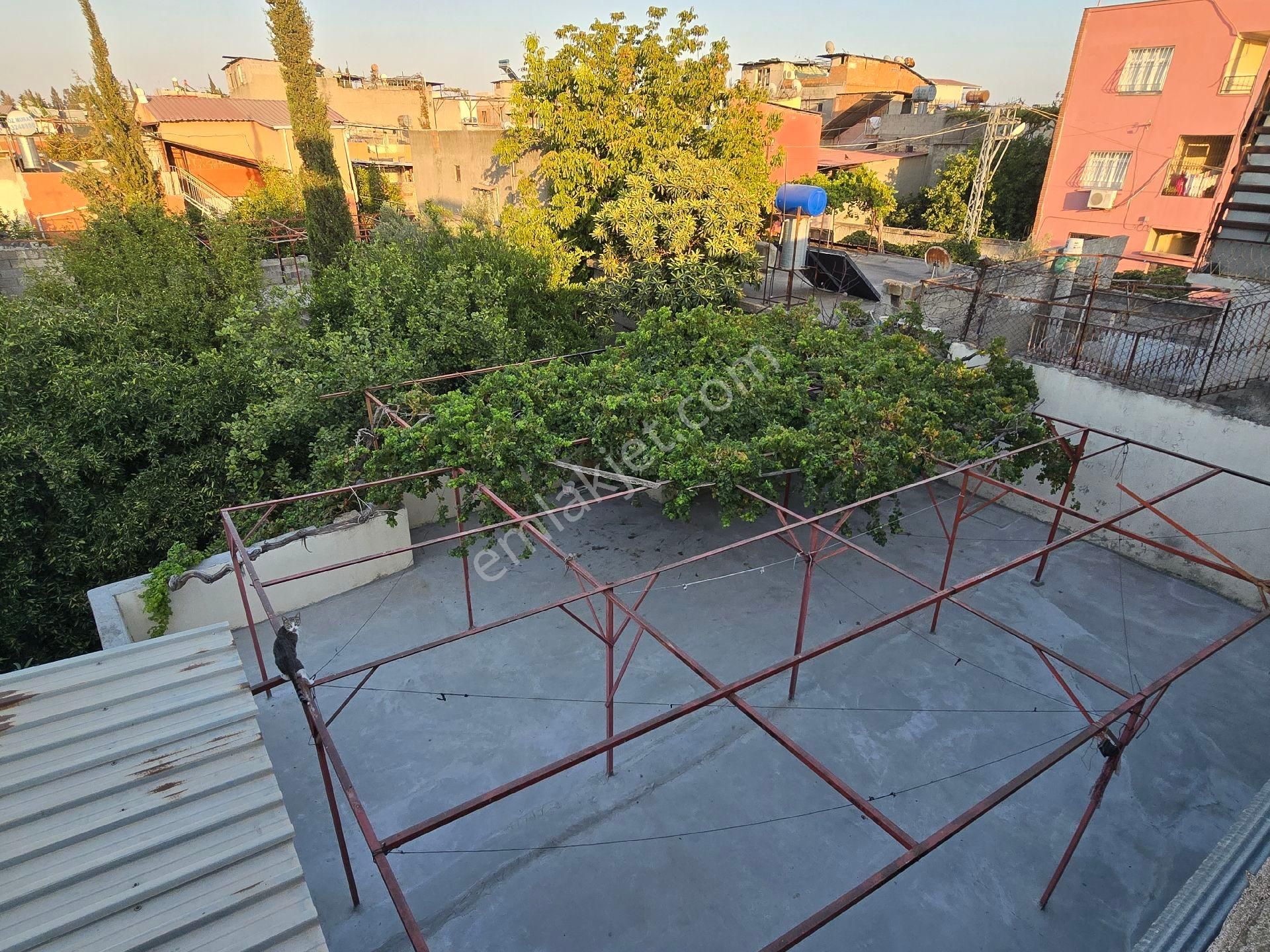 ✨ Aksel Emlak’tan Satılık 2 İşyeri 2 Daire ✨ - Görsel 8