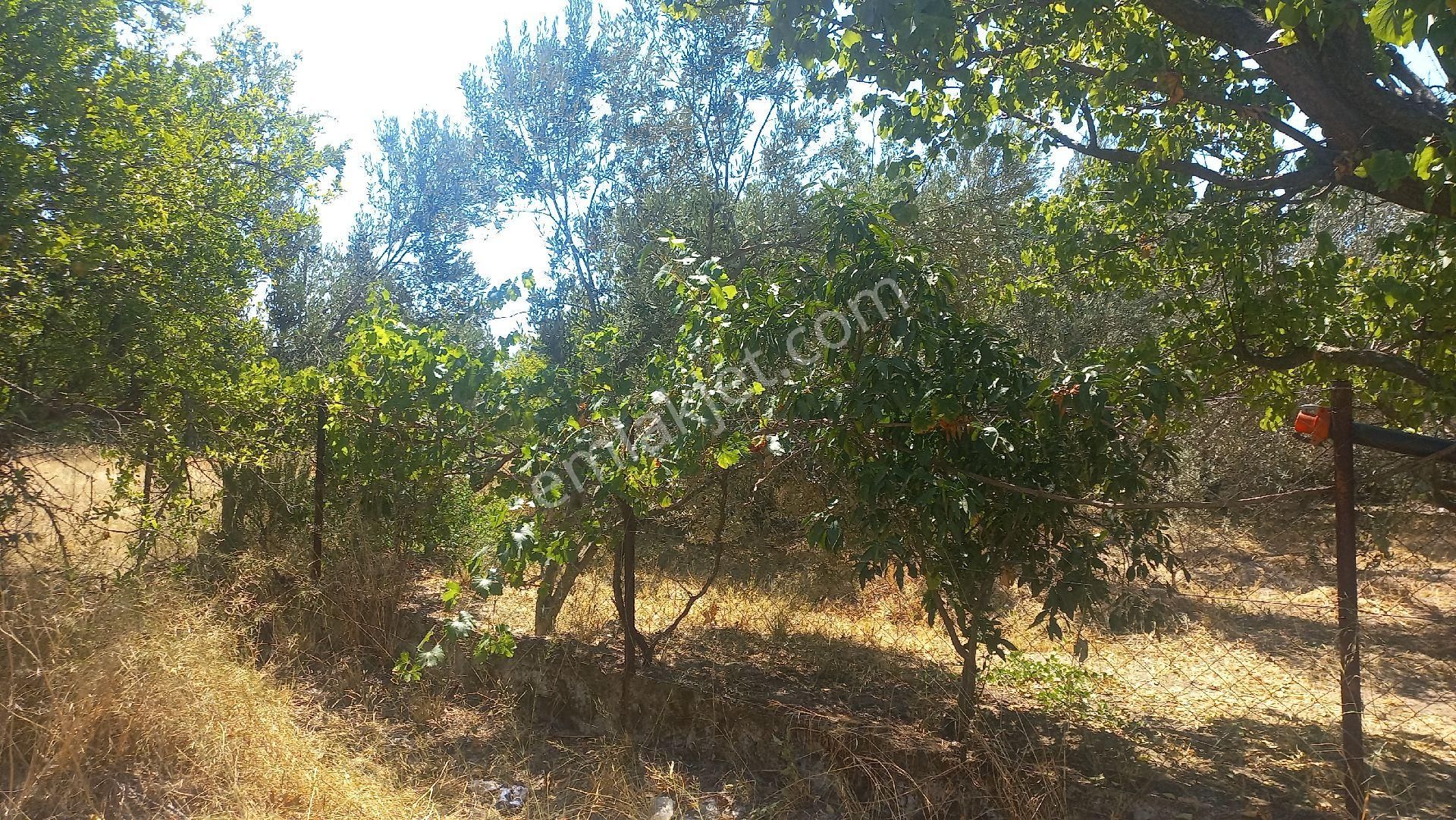 Okkalı Emlak Tan Menemen Emiralem De Satılık Arsa - Görsel 11