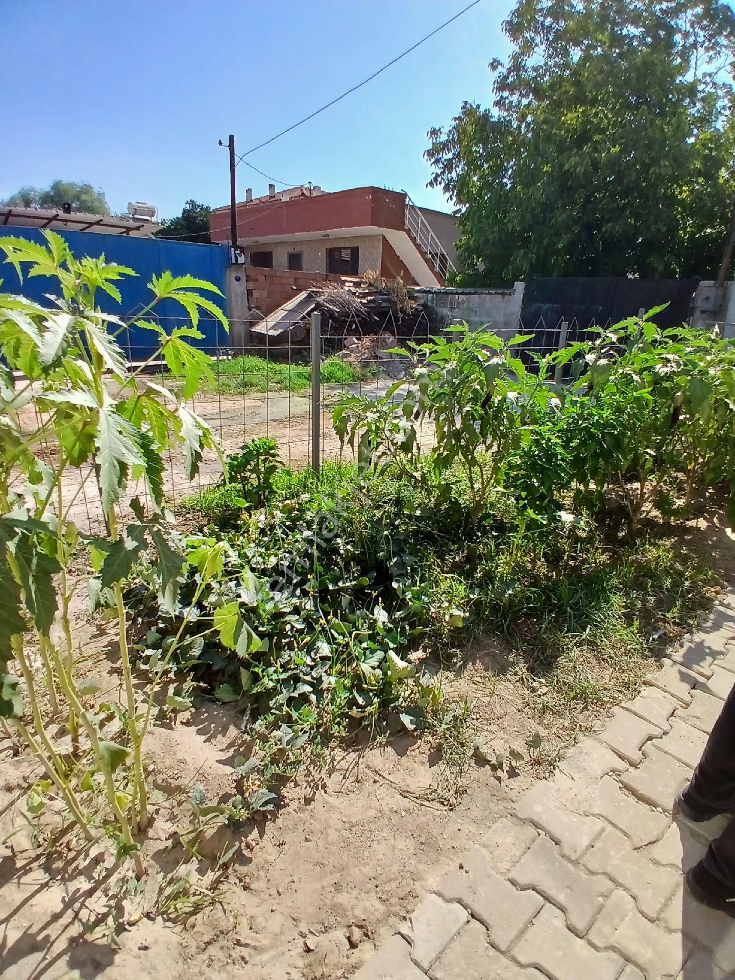 İzmir Torbalı Güllüce Köyünde 2+1 2katlı Ev Satılık - Görsel 3