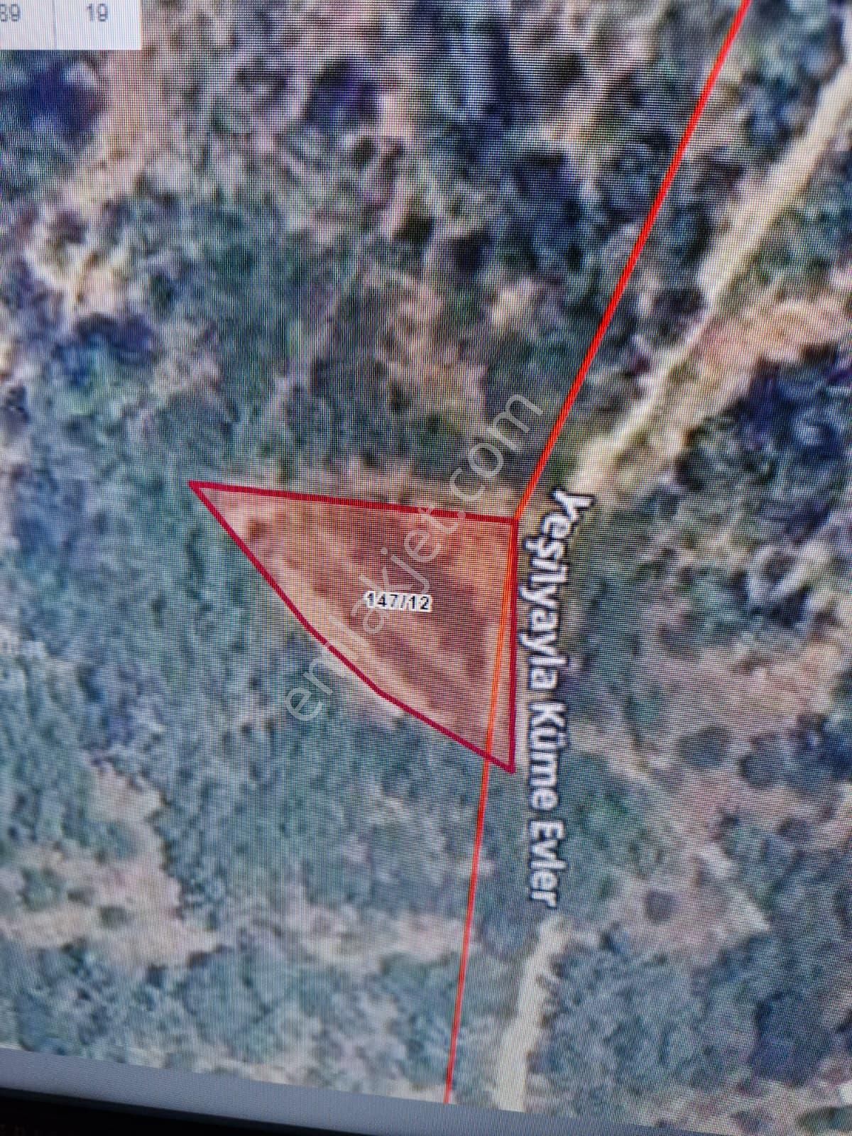 Yeşilyaylada Fırsat Tarla