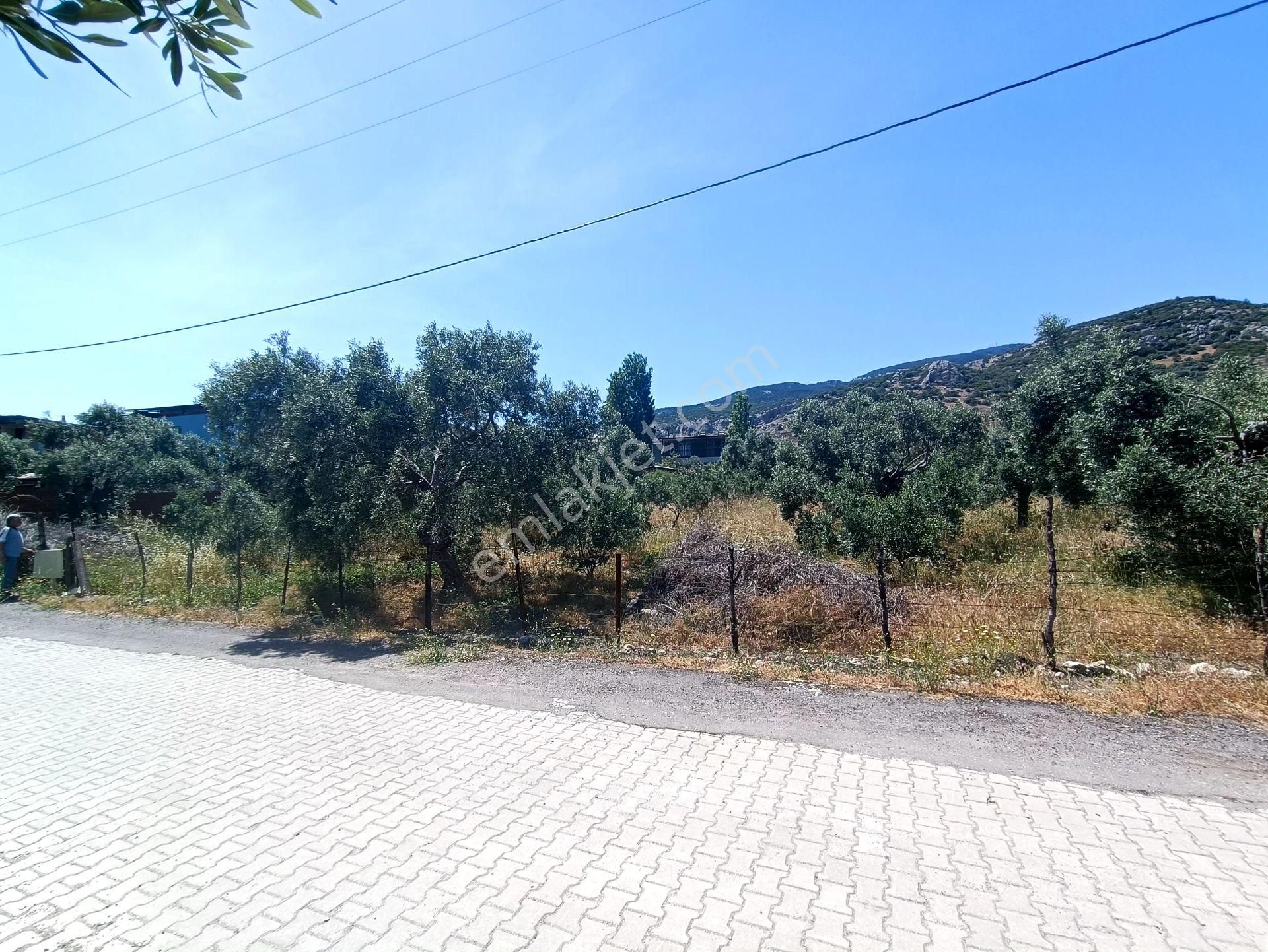 Söke, Atburgazı’nda Satılık İmarlı Arsalar…