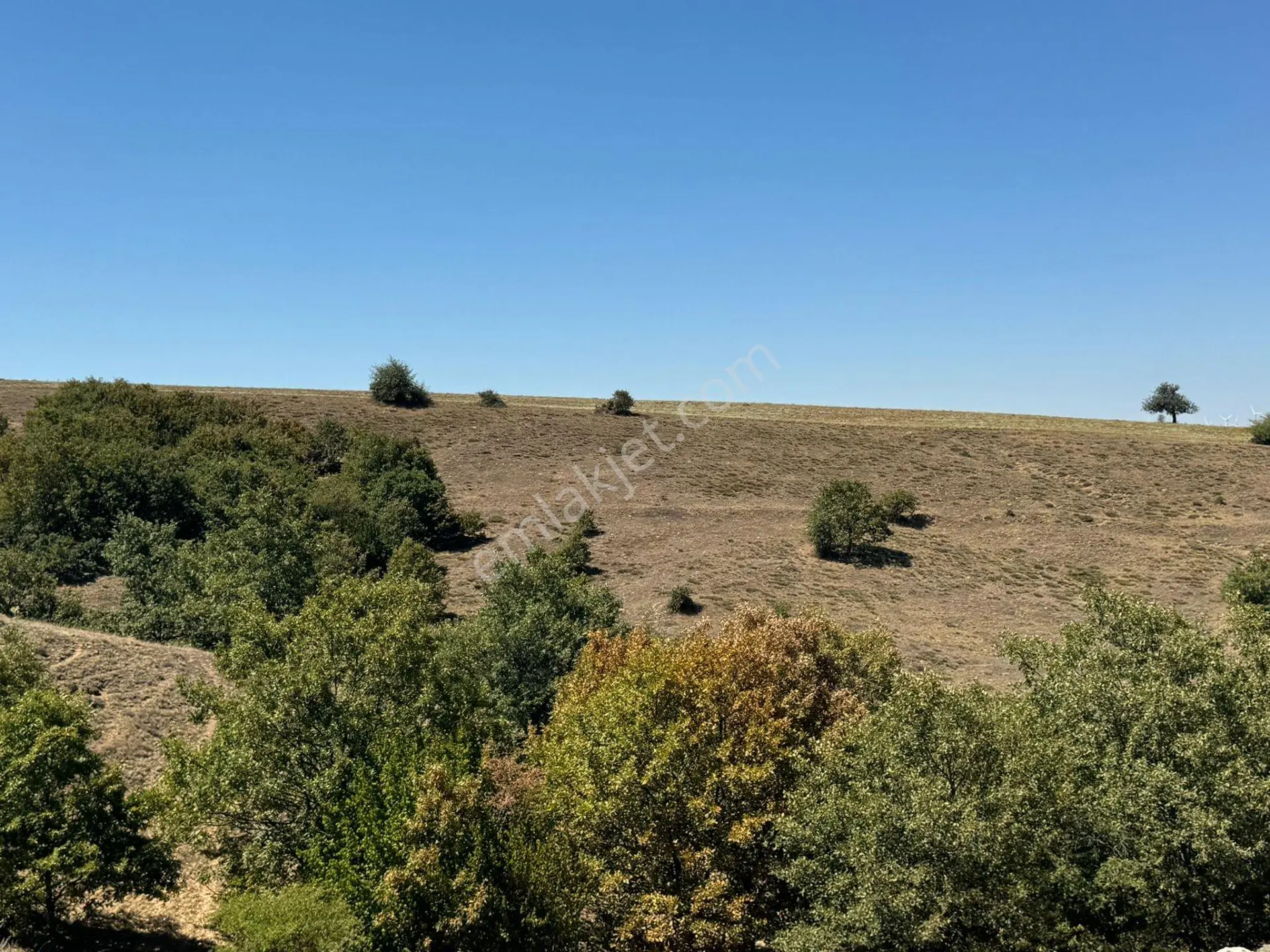 Sulukarağaç Mahallesi’nde 6.600 M² Satılık Tarla