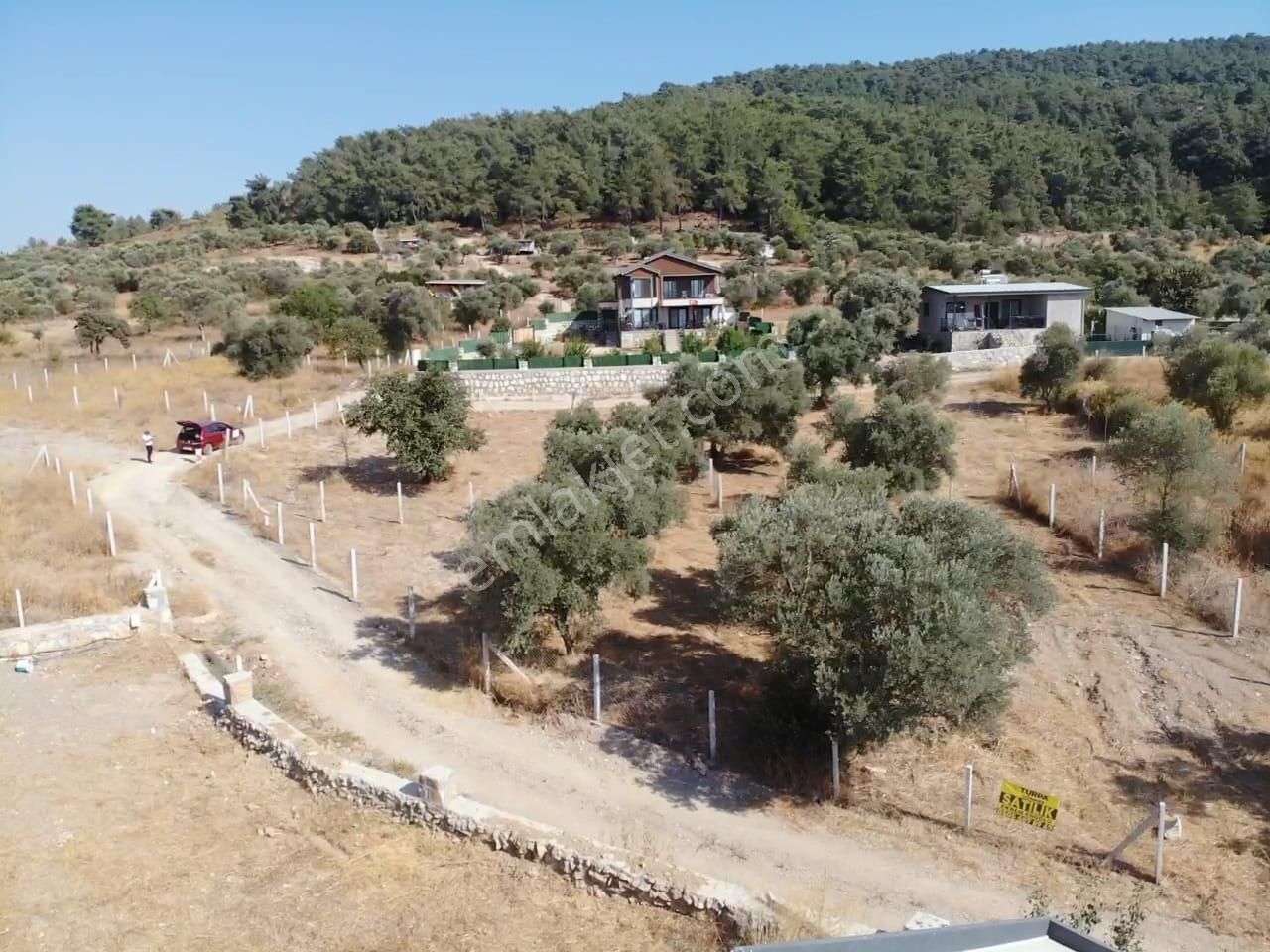 Çakaltepe Köyünde; Elektrik Ve Suyu Aktif - Tapudan Satışlı - 543 M2 Doğa İçinde Satılık Köşe Bahçe - Görsel 8