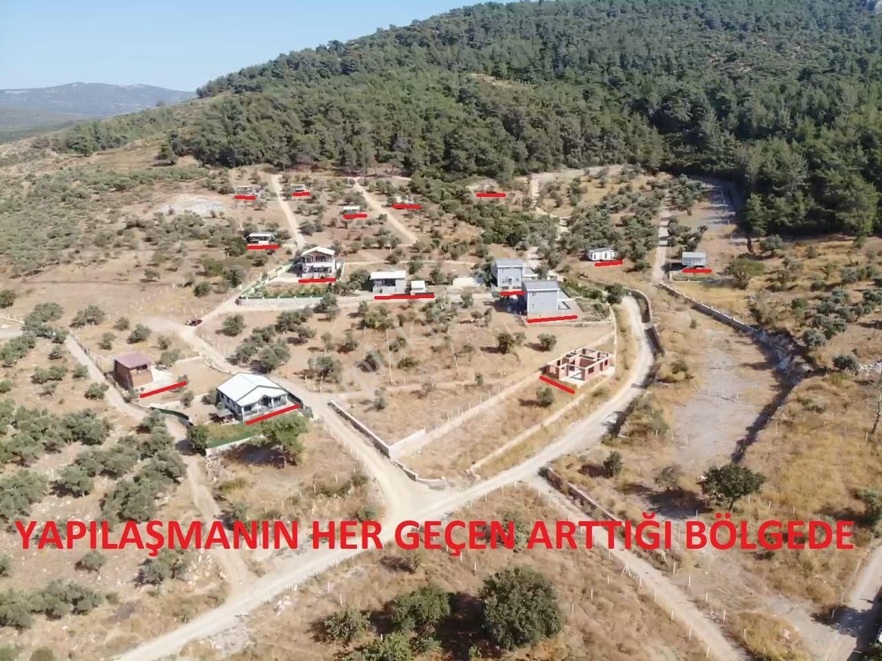 Çakaltepe Köyünde; Elektrik Ve Suyu Aktif - Tapudan Satışlı - 543 M2 Doğa İçinde Satılık Köşe Bahçe - Görsel 18