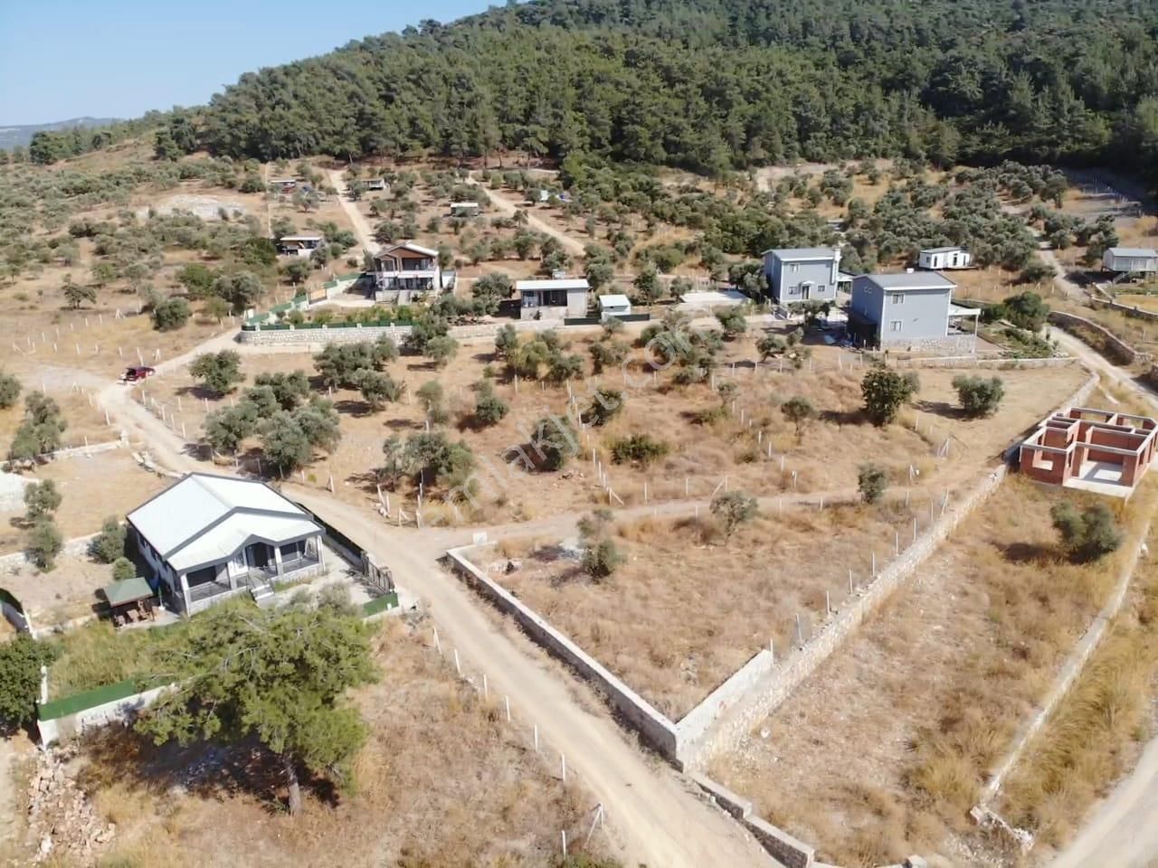 Çakaltepe Köyünde; Elektrik Ve Suyu Aktif - Tapudan Satışlı - 543 M2 Doğa İçinde Satılık Köşe Bahçe - Görsel 2