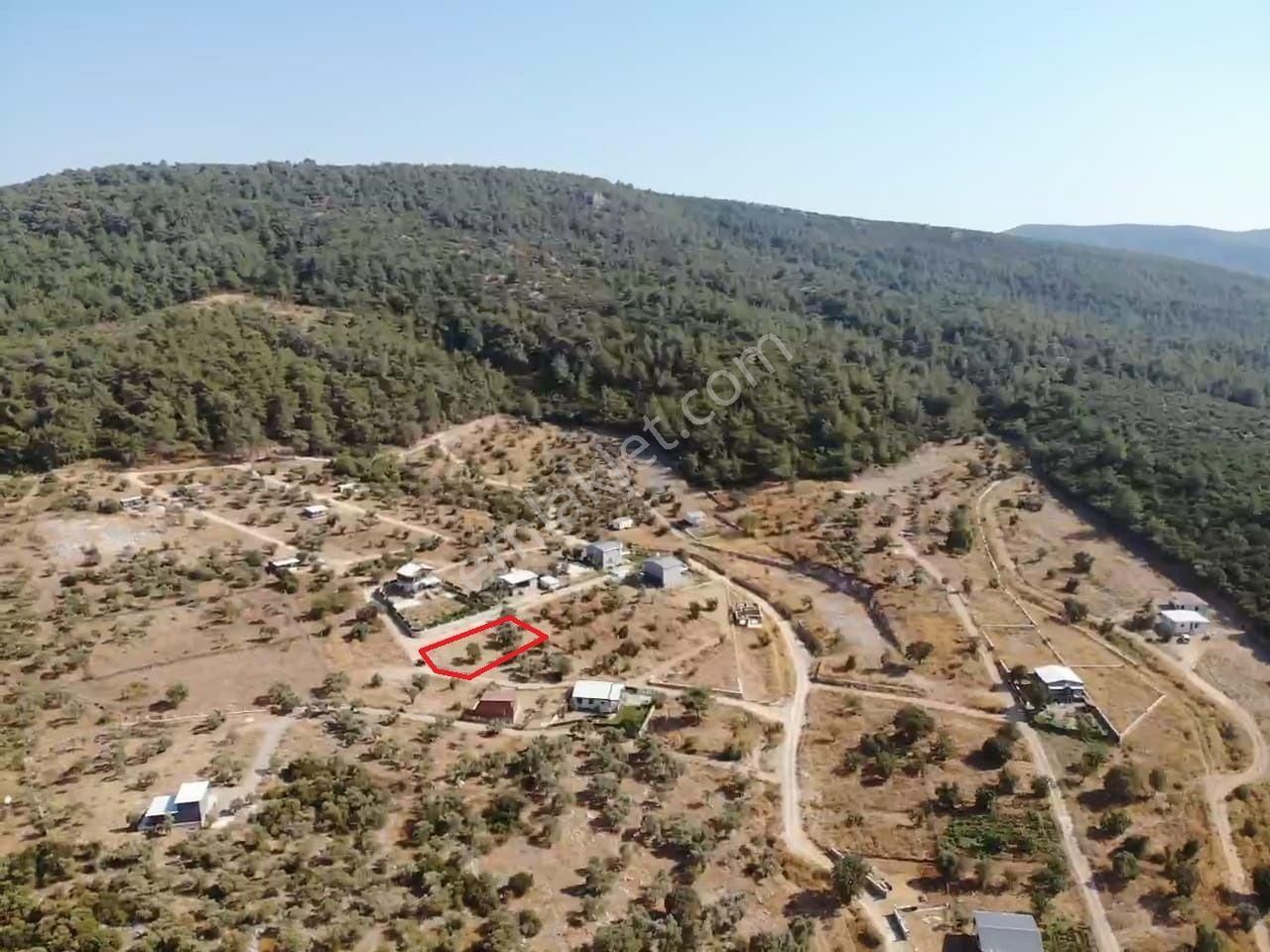 Çakaltepe Köyünde; Elektrik Ve Suyu Aktif - Tapudan Satışlı - 543 M2 Doğa İçinde Satılık Köşe Bahçe - Görsel 11