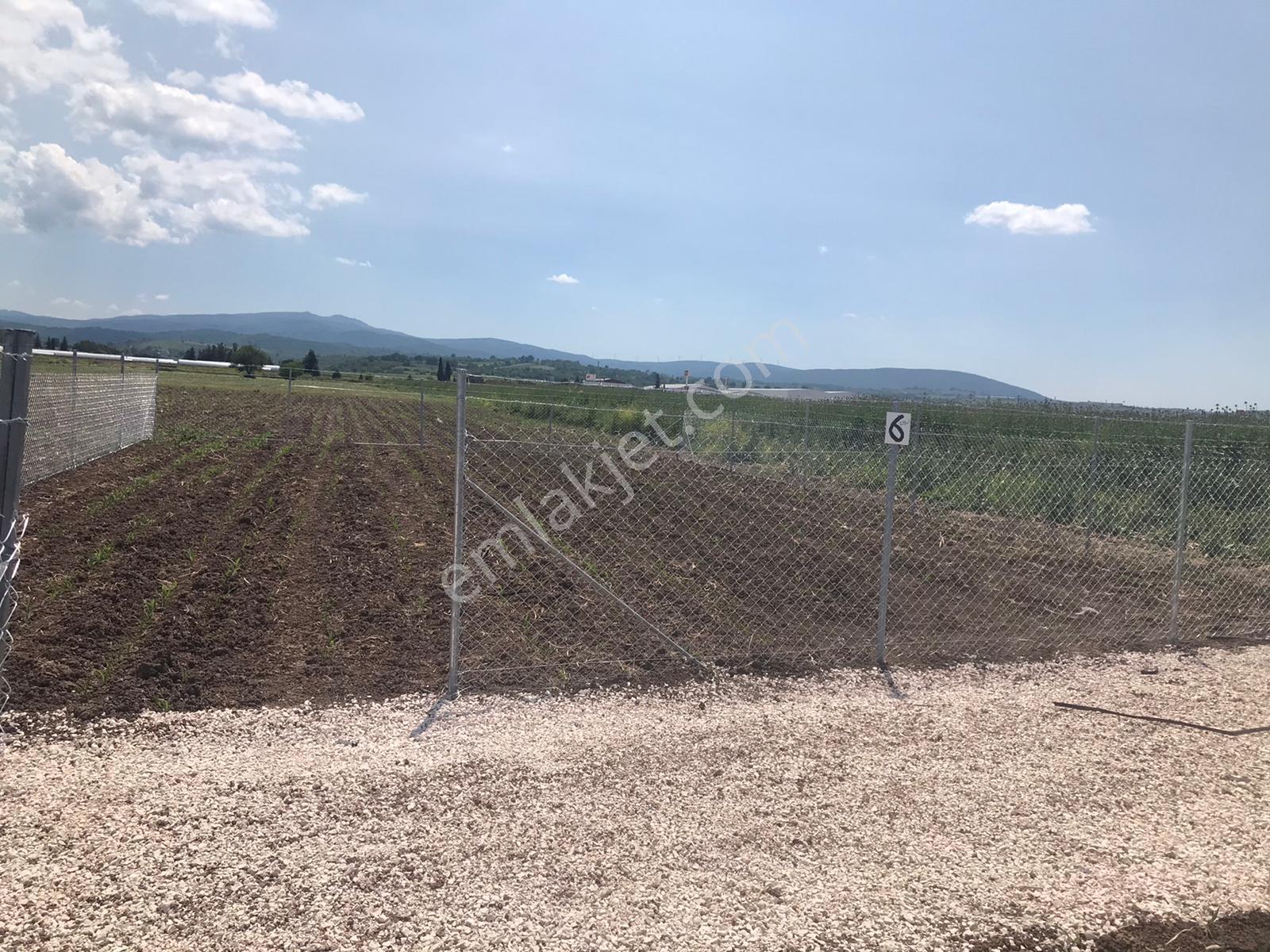 Mustafakemalpaşa,da 200 M2 Satılık Tarla - Görsel 10