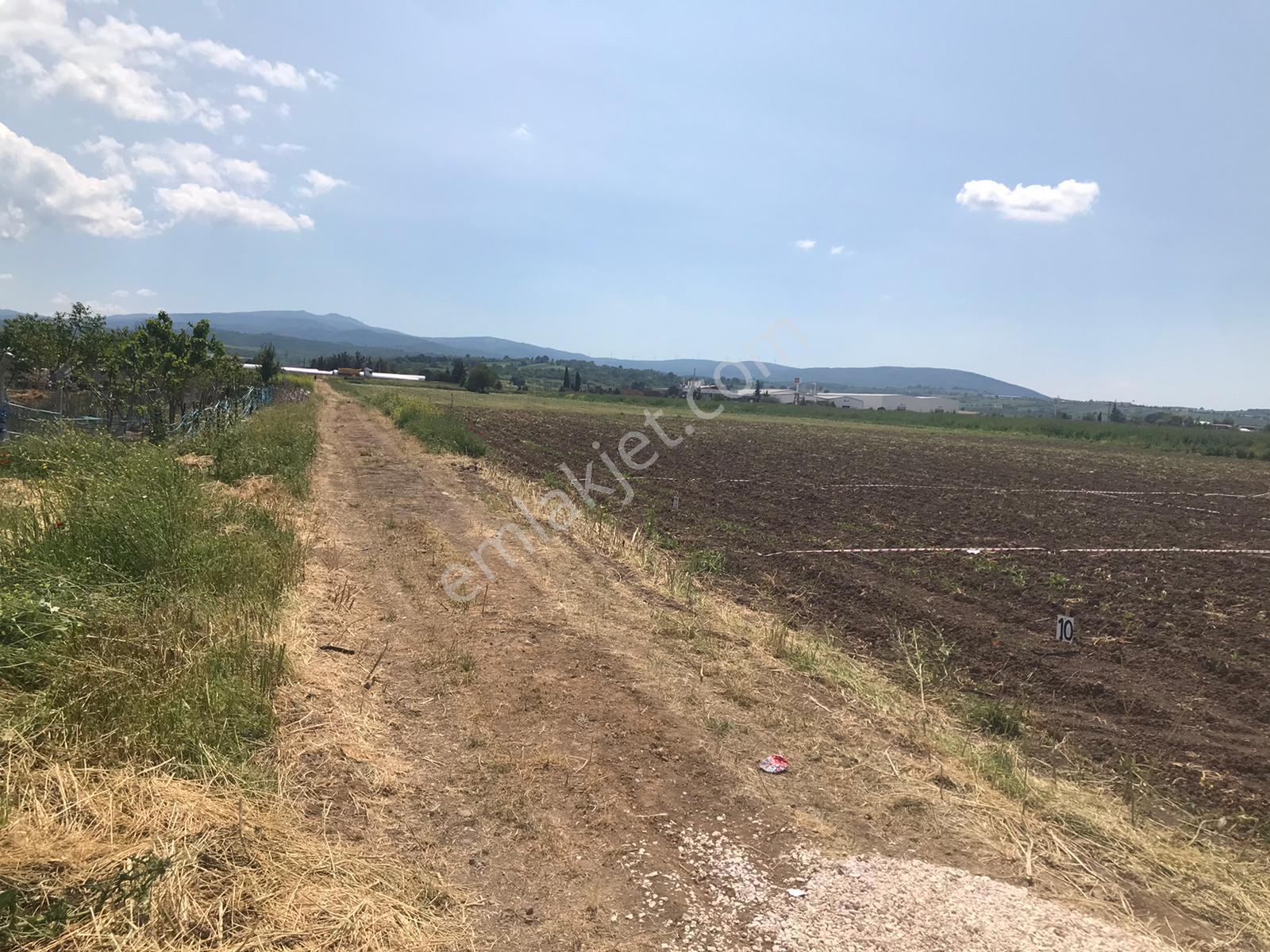 Mustafakemalpaşa,da 200 M2 Satılık Tarla - Görsel 6
