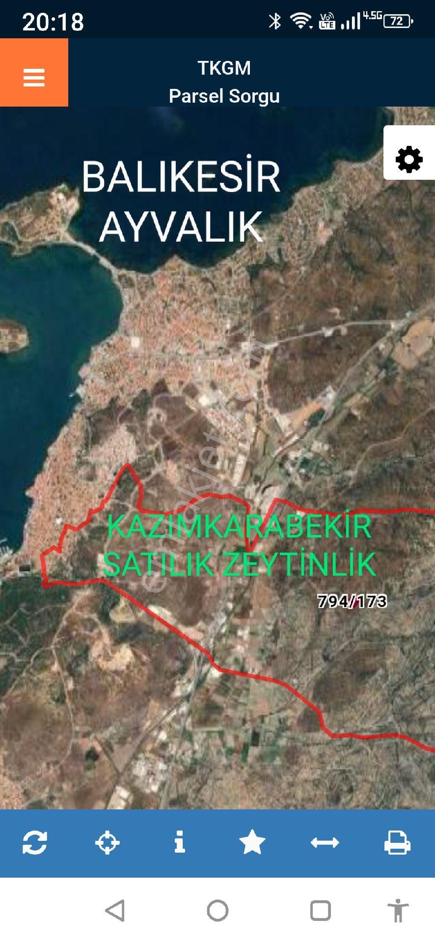 Ayvalık Kazımkarabekir Zeytinlik - Görsel 8