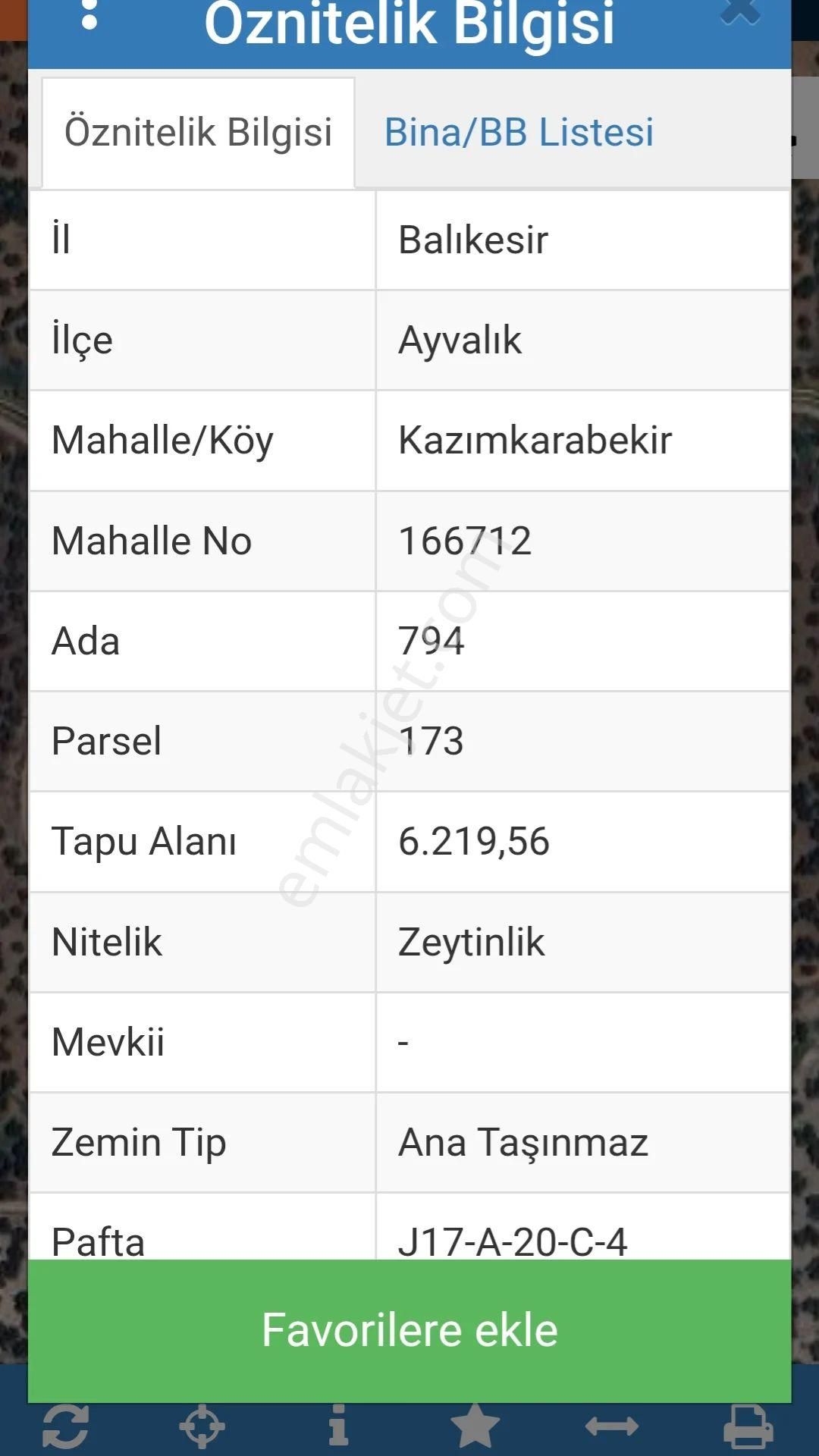Ayvalık Kazımkarabekir Zeytinlik - Görsel 7