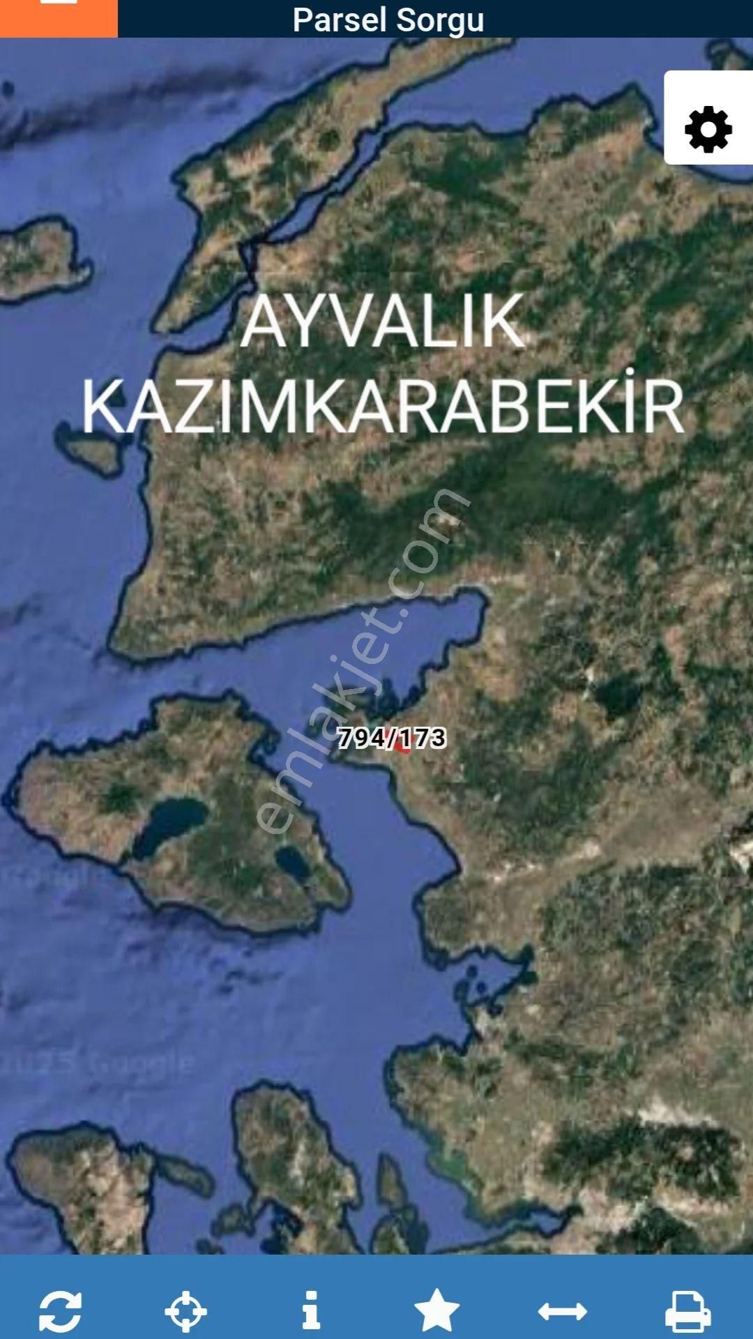Ayvalık Kazımkarabekir Zeytinlik - Görsel 4